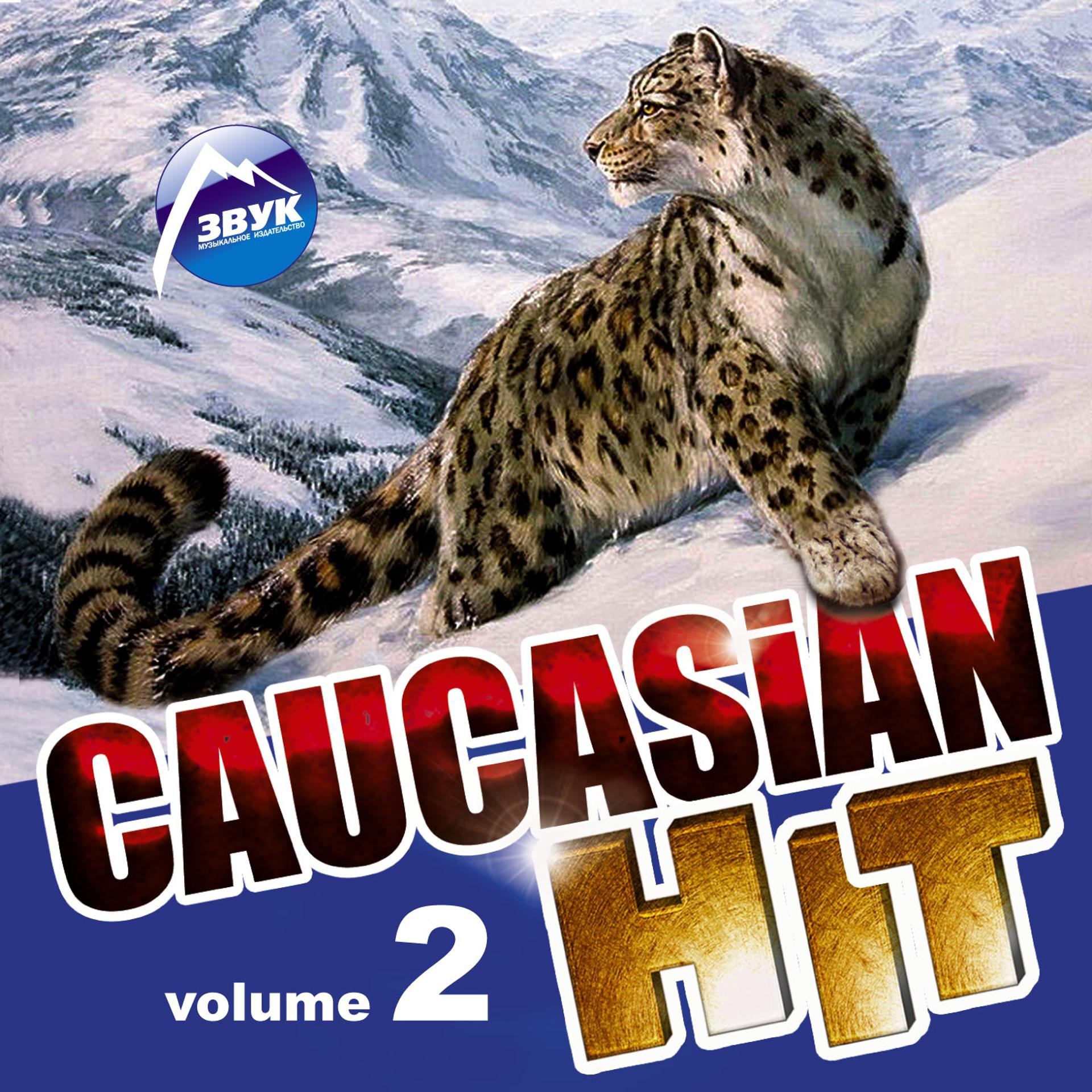 Постер альбома Caucasian Hit, Vol. 2