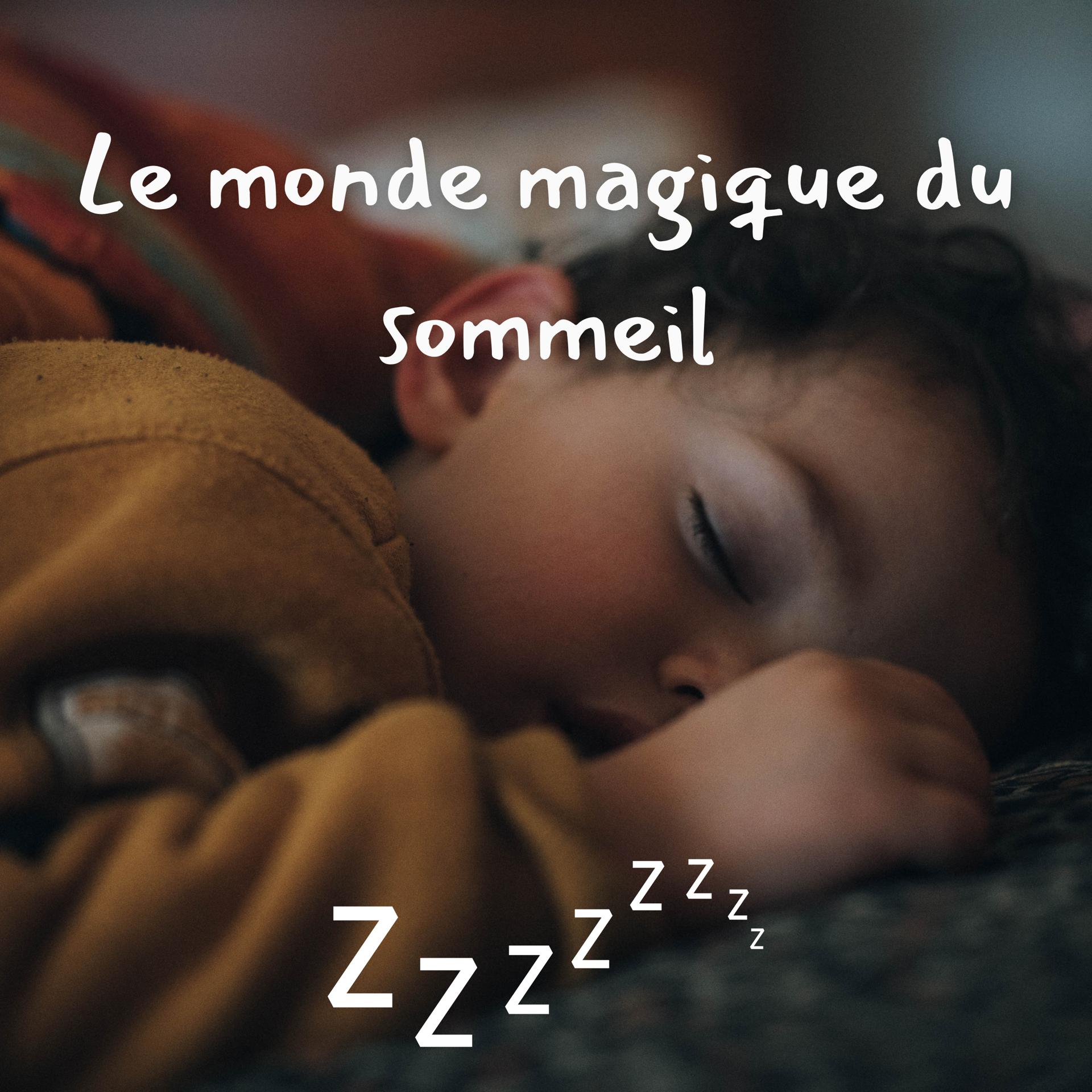 Постер альбома Le monde magique du sommeil