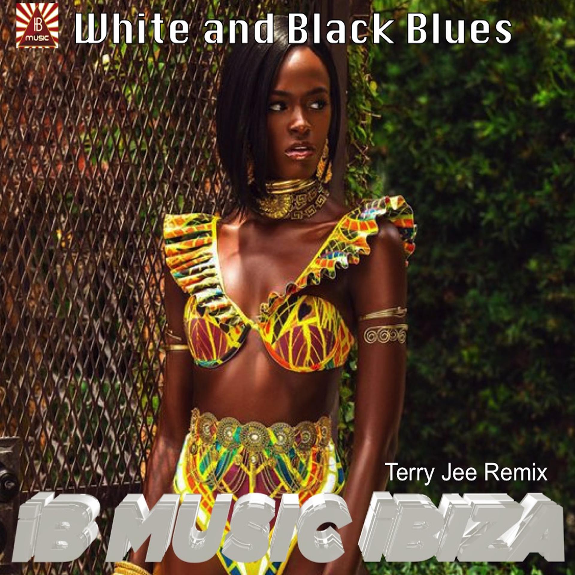 Постер альбома White and Black Blues