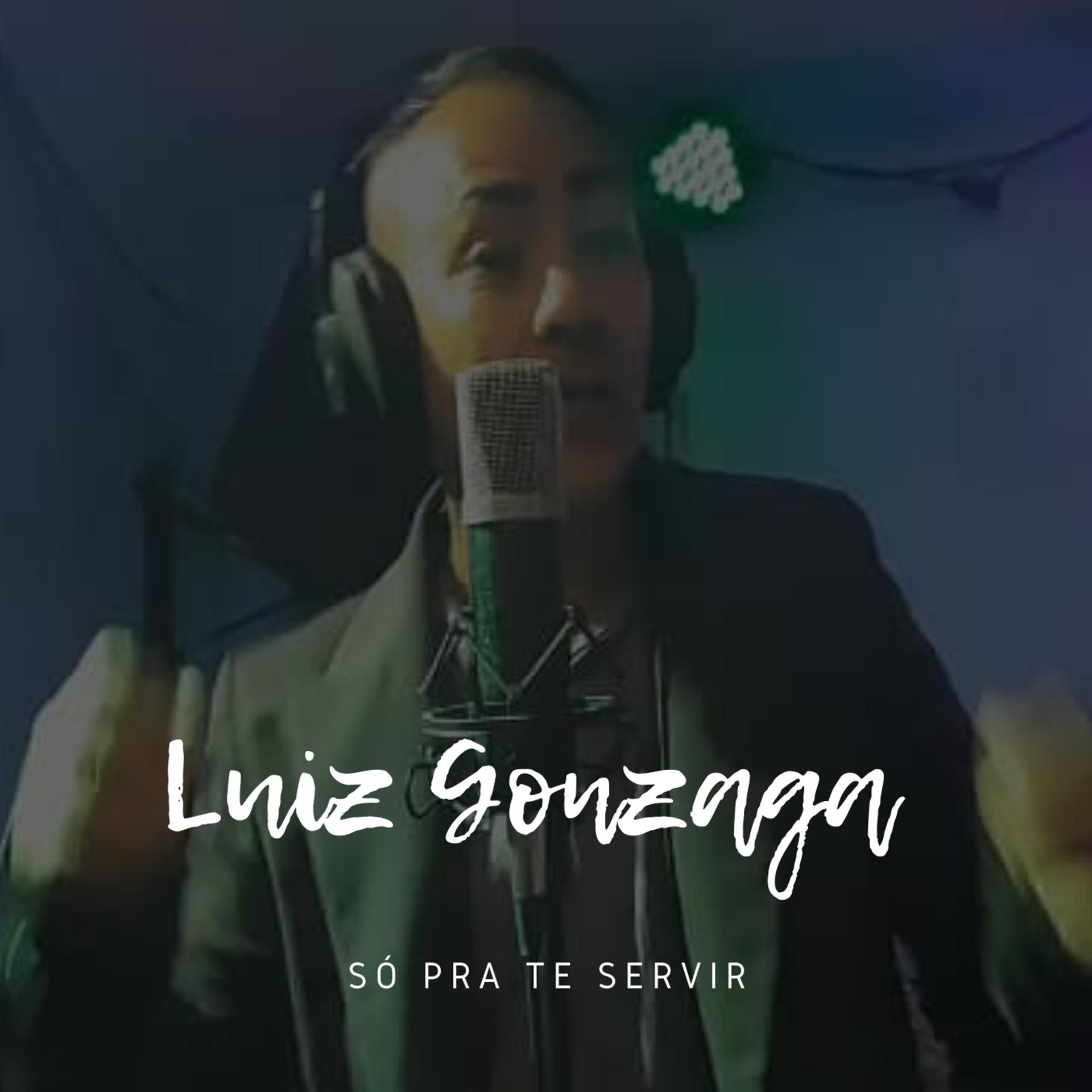 Постер альбома Só pra Te Servir