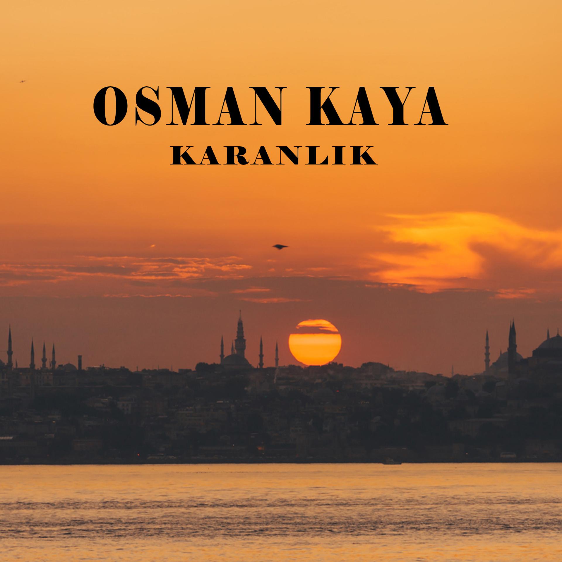 Постер альбома Karanlık