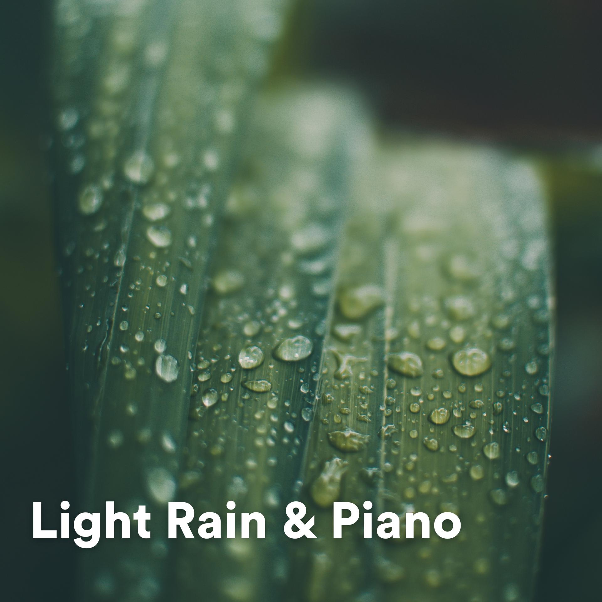 Постер альбома Light Rain & Piano
