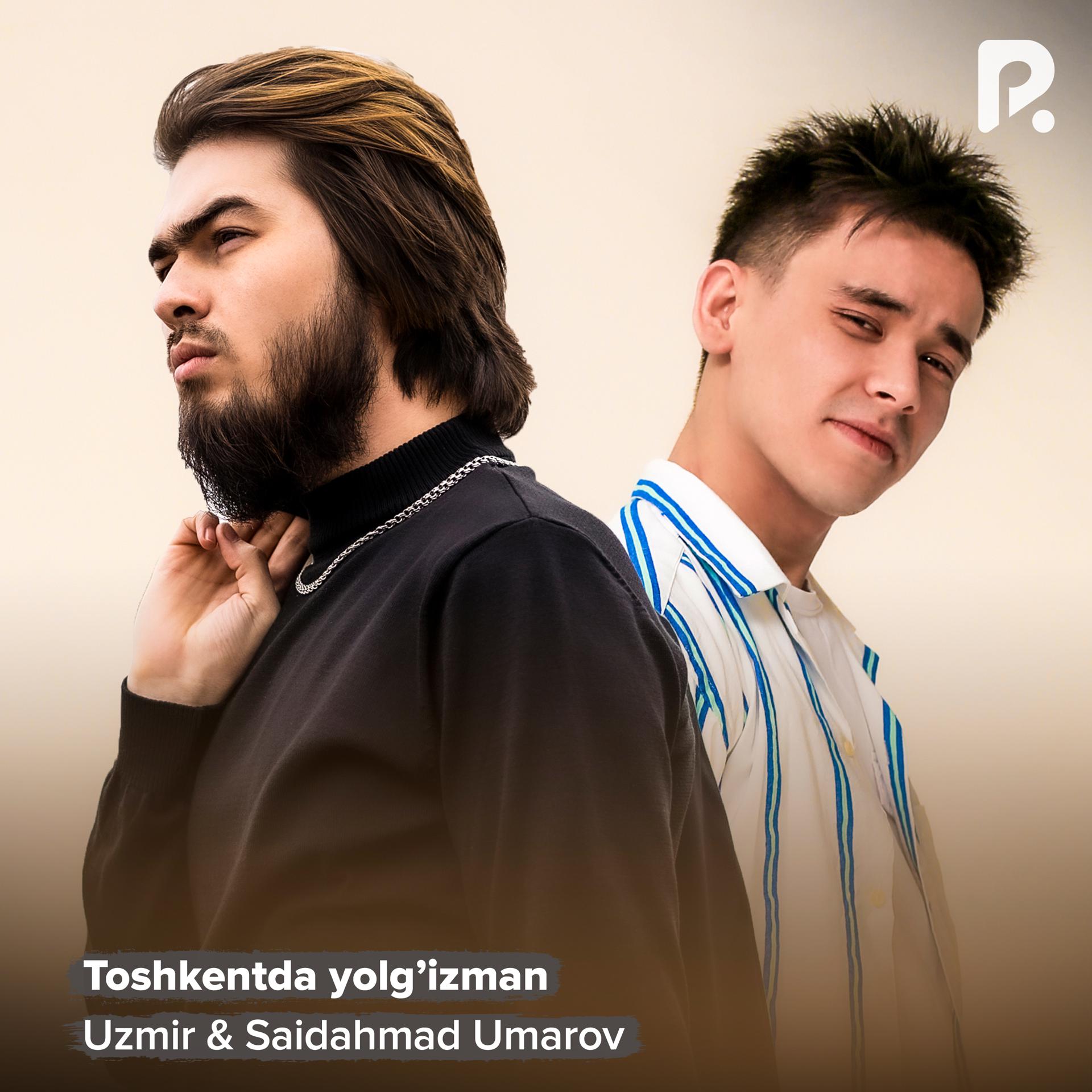 Постер альбома Toshkentda yolg'izman