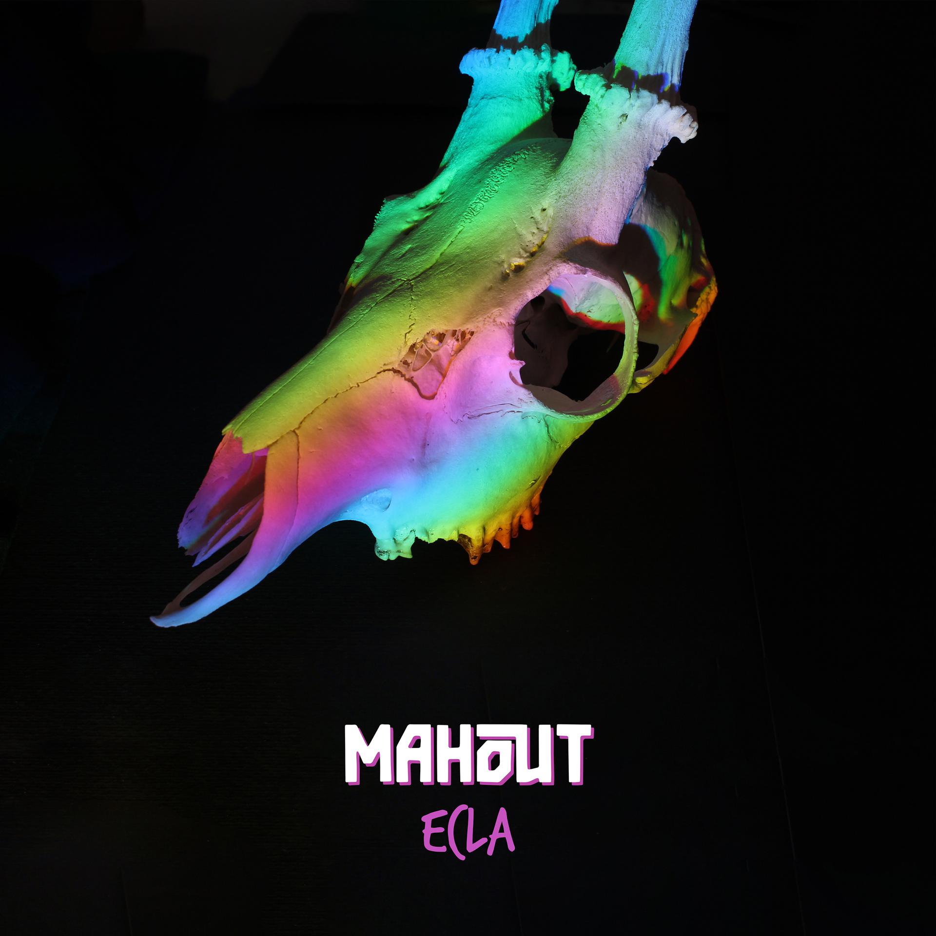 Постер альбома Ecla