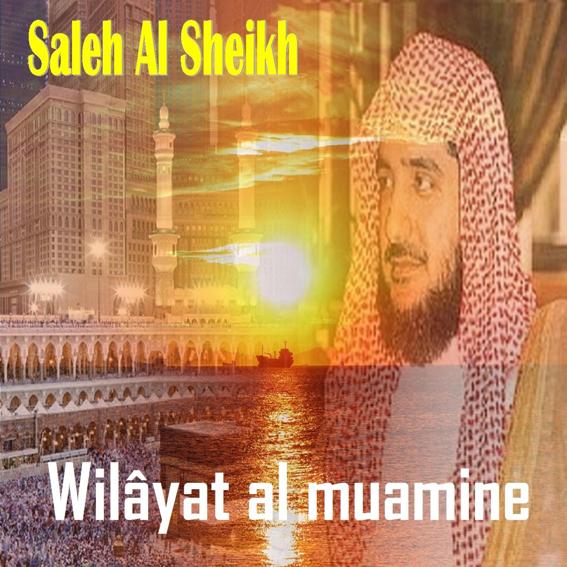 Постер альбома Wilâyat al muamine