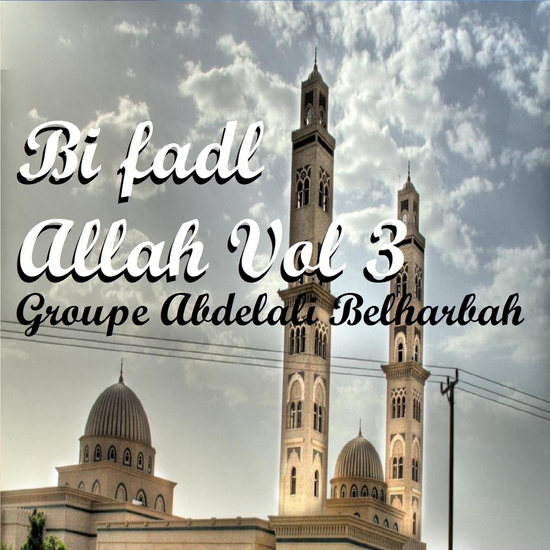 Постер альбома Bi Fadl Allah, Vol. 3