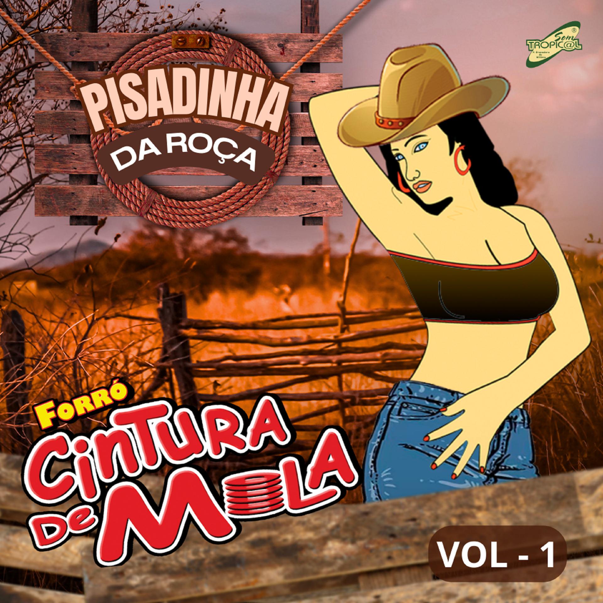 Постер альбома Na Pisadinha da Roça Vol.1