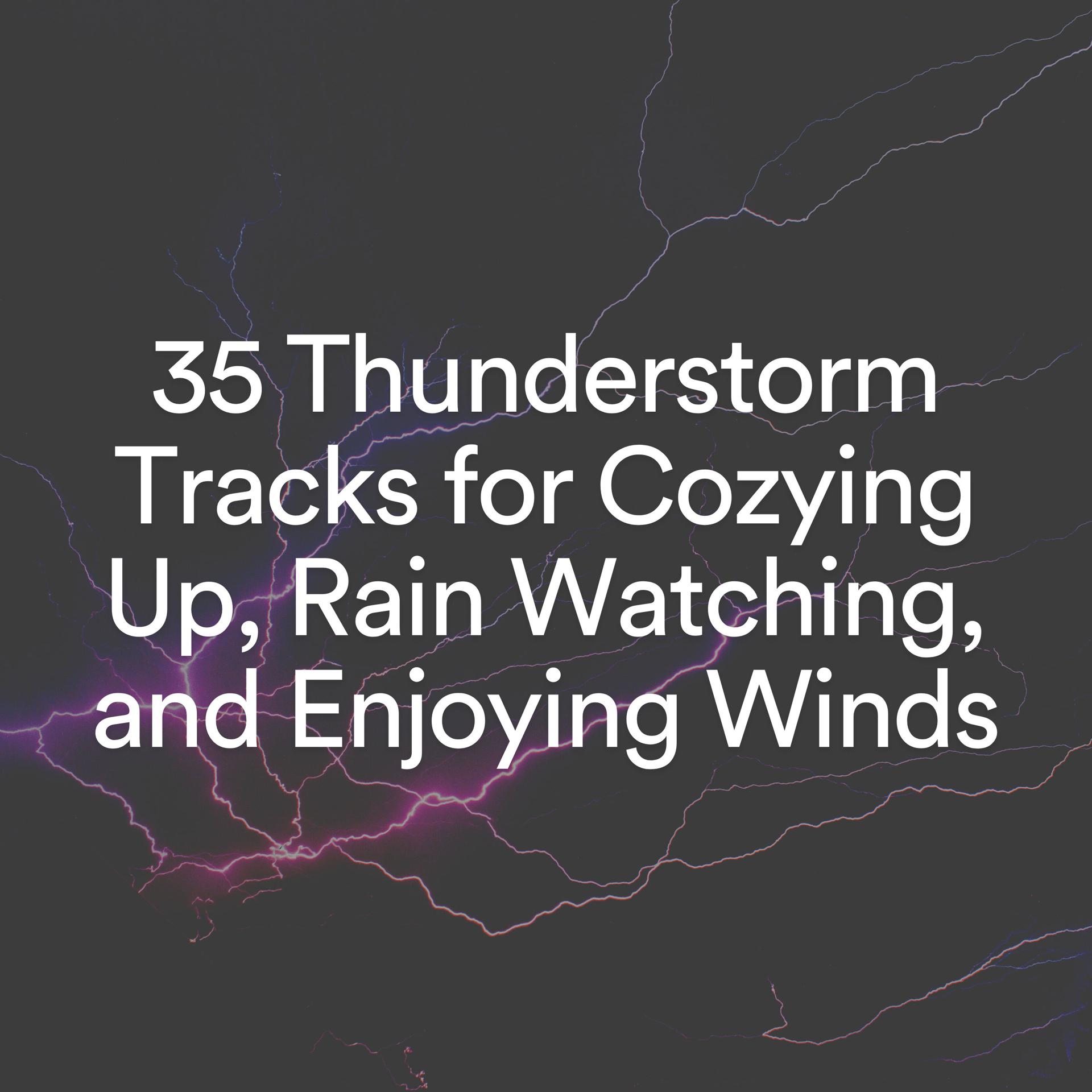 Постер альбома 35 Thunderstorm Tracks for Cozying up, Rain Watching, and Enjoying Winds