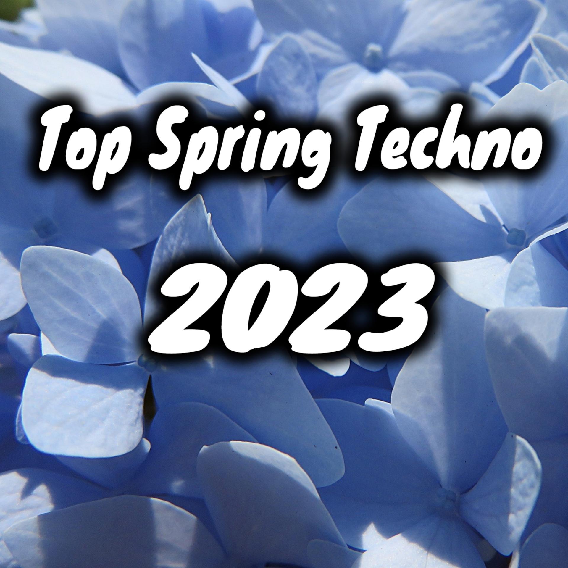 Постер альбома Top Spring Techno 2023