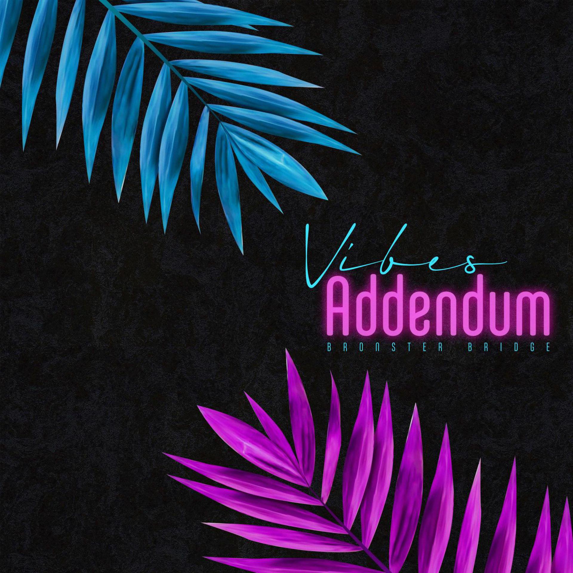 Постер альбома Addendum Vibes