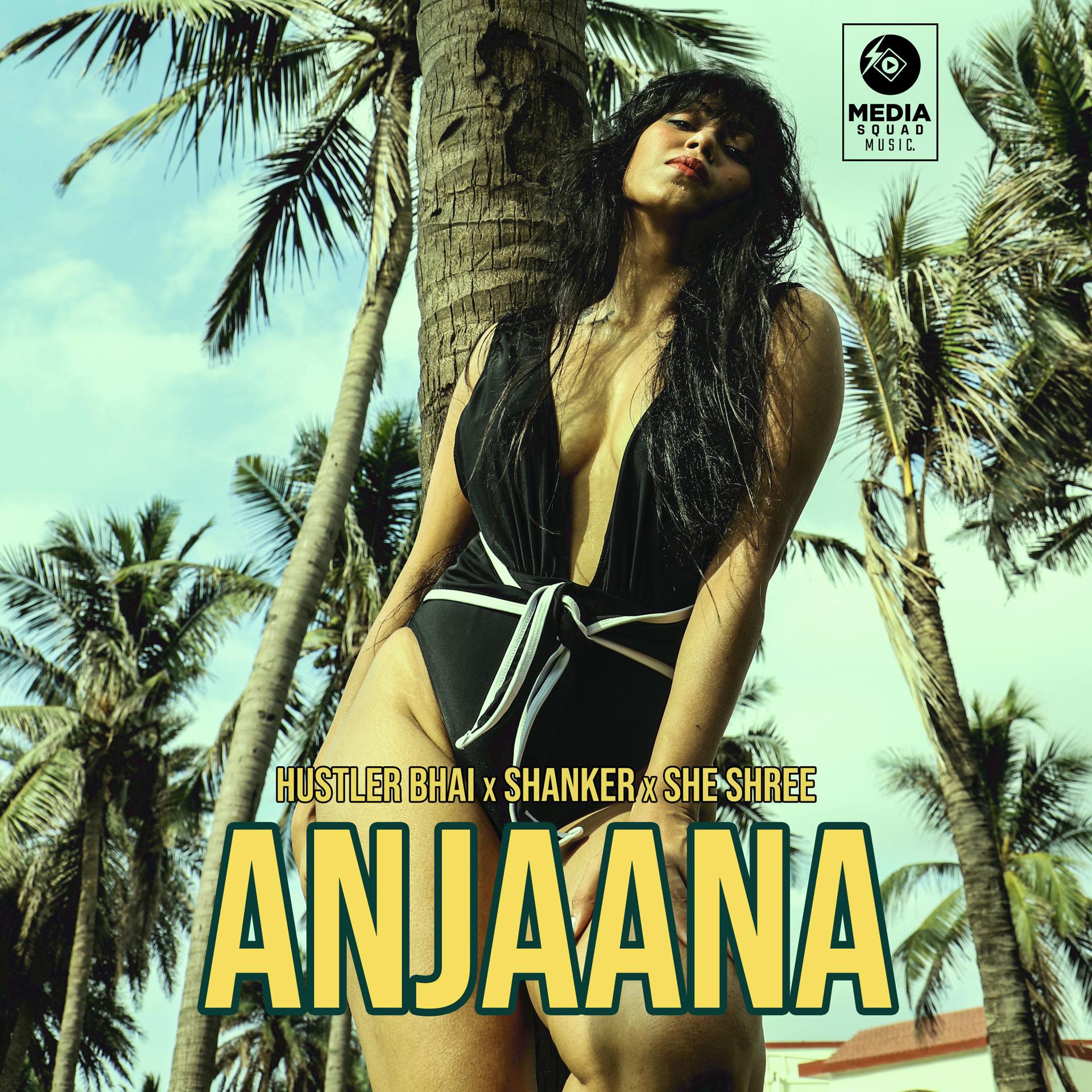 Постер альбома Anjaana