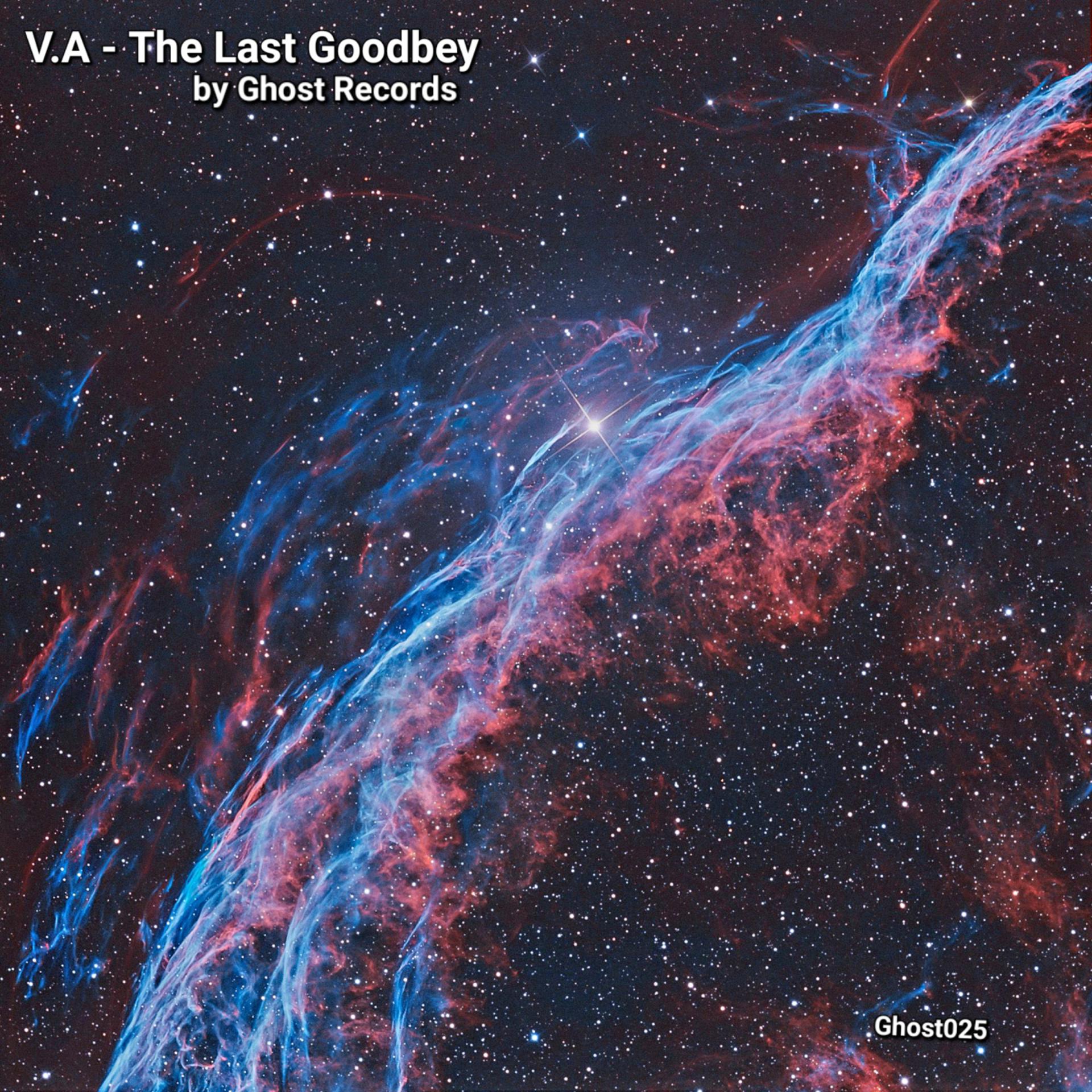 Постер альбома The Last Goodbey