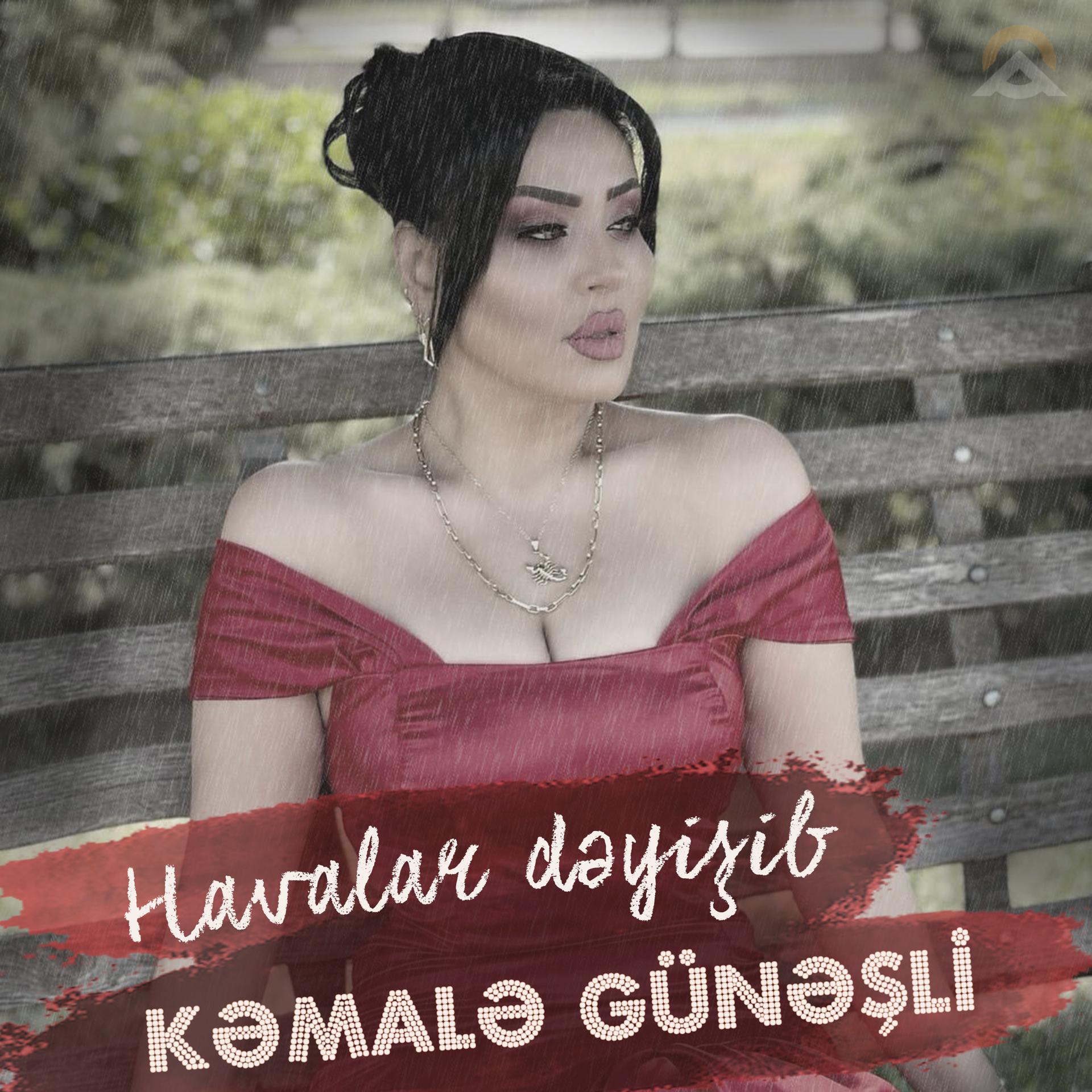 Постер альбома Havalar dəyişib