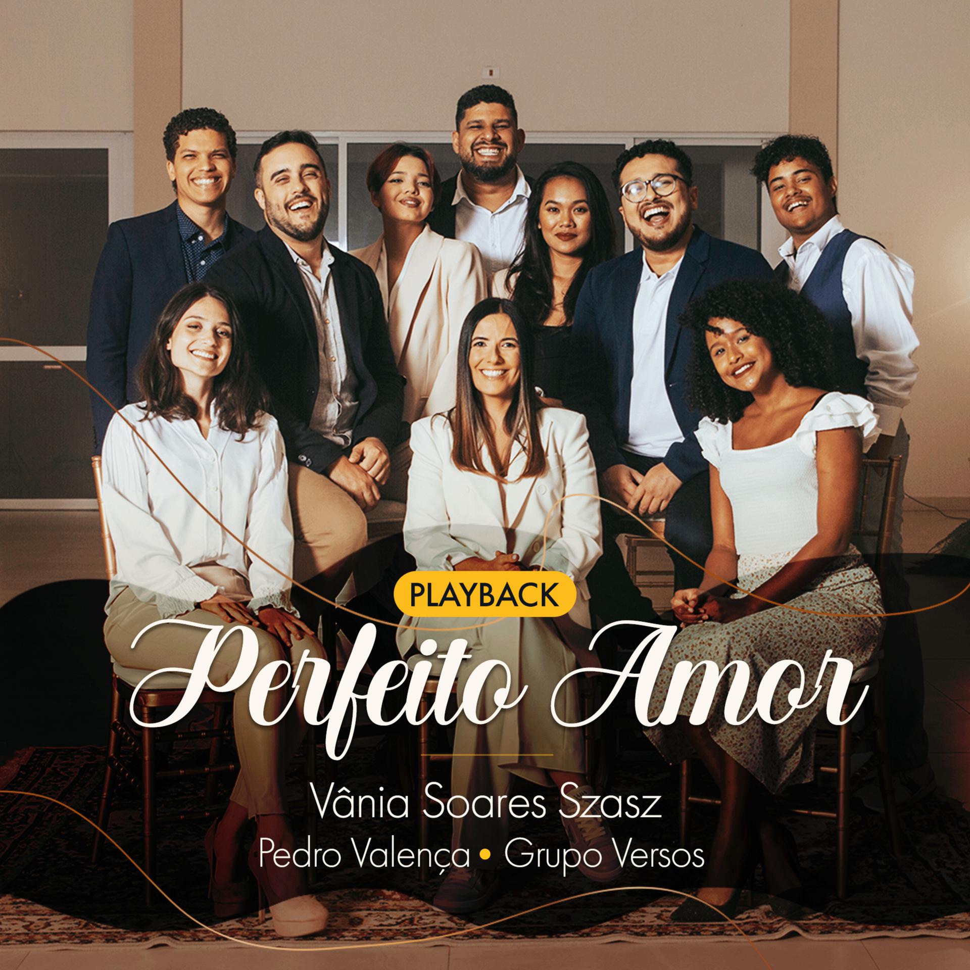 Постер альбома Perfeito Amor