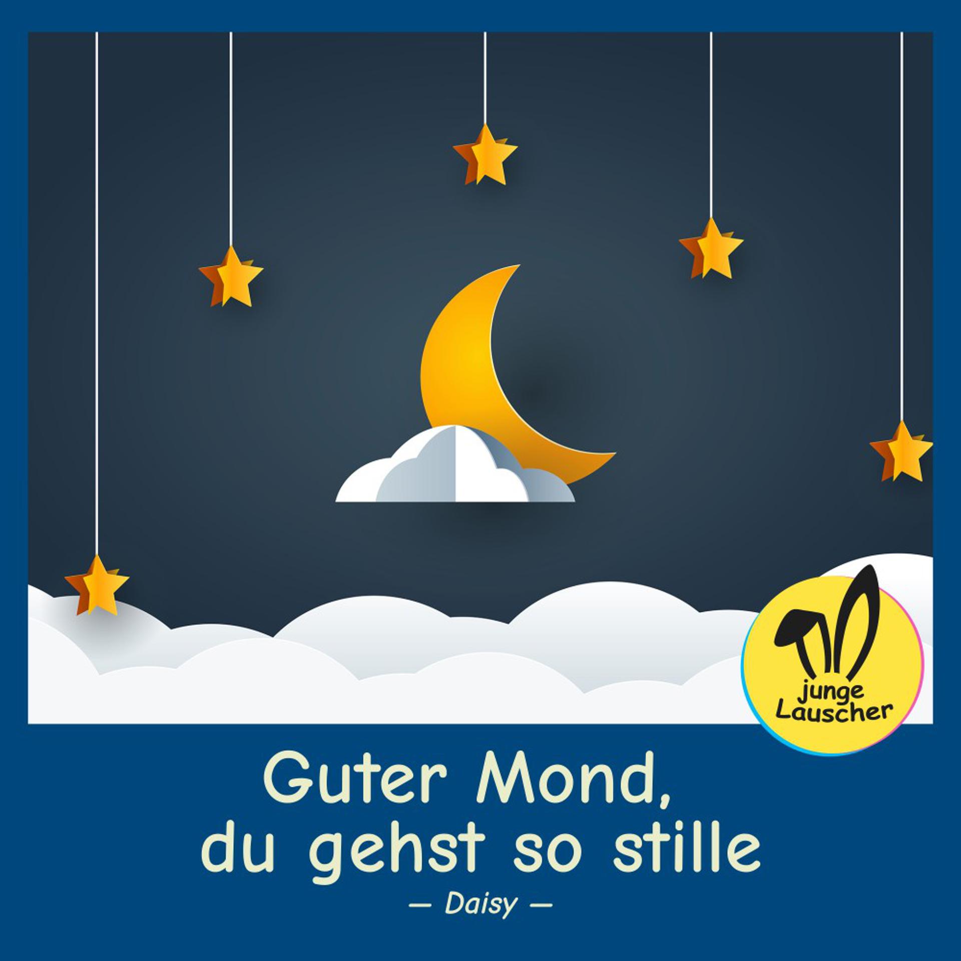 Постер альбома Guter Mond, du gehst so stille