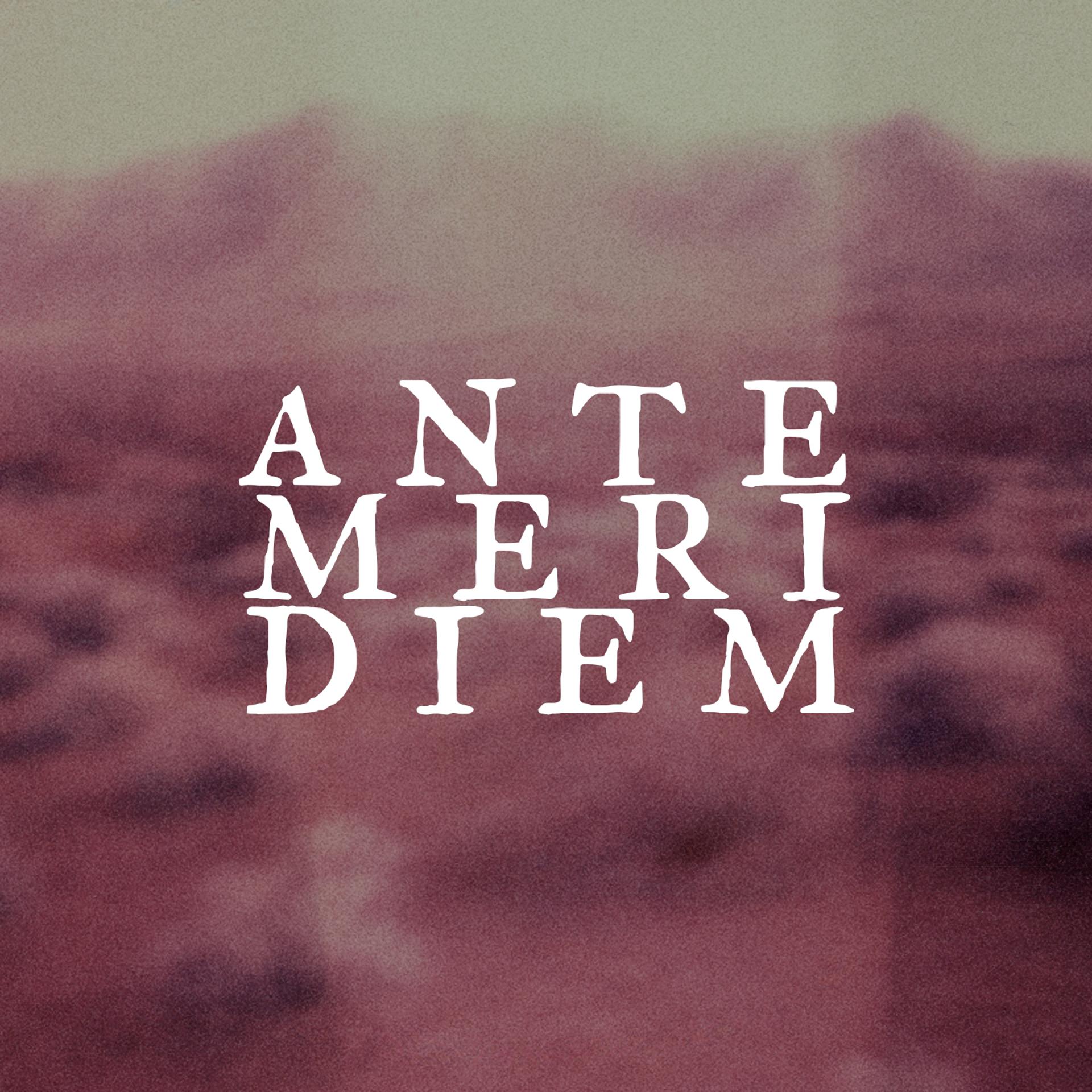 Постер альбома Ante Meridiem