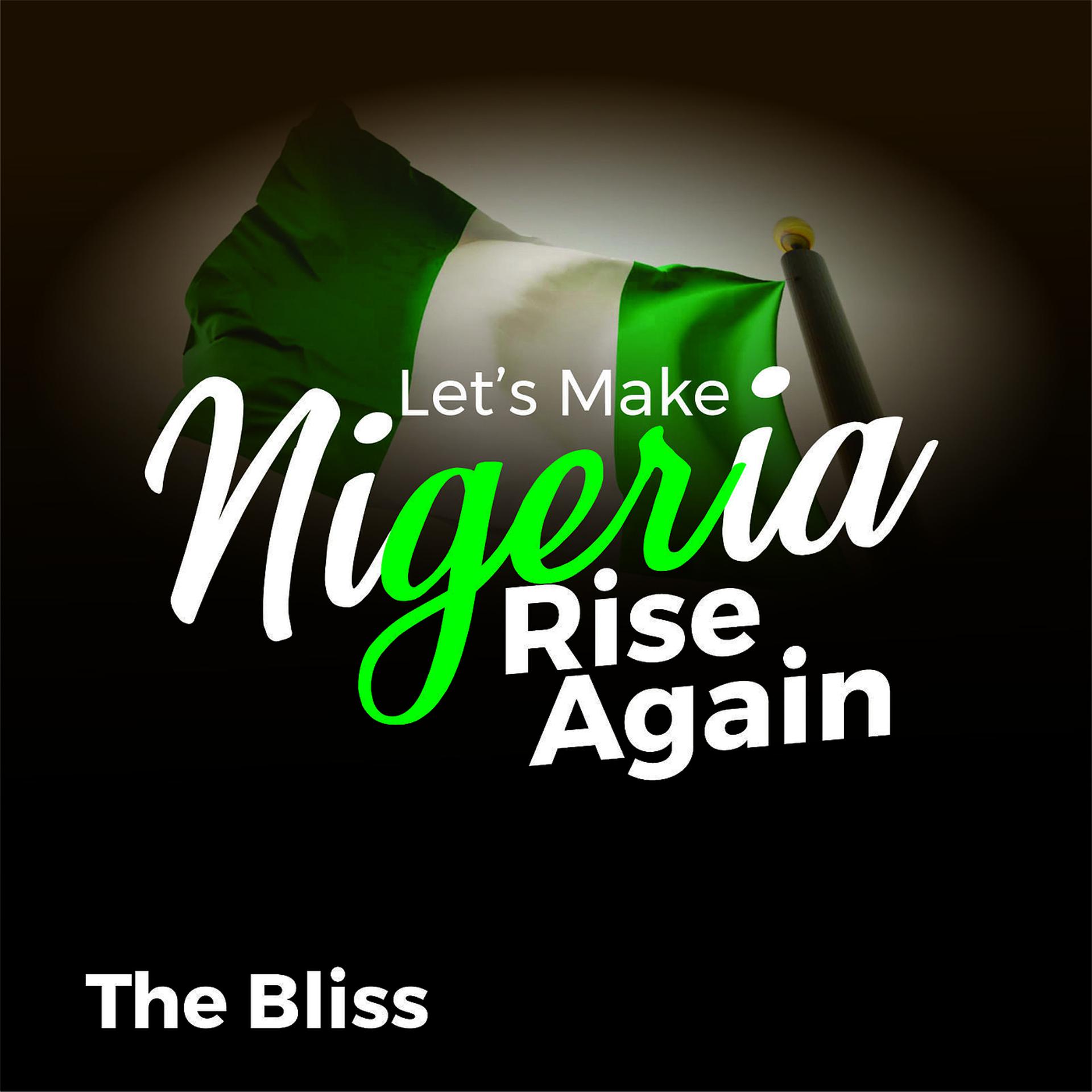Постер альбома Let's Make Nigeria Rise Again