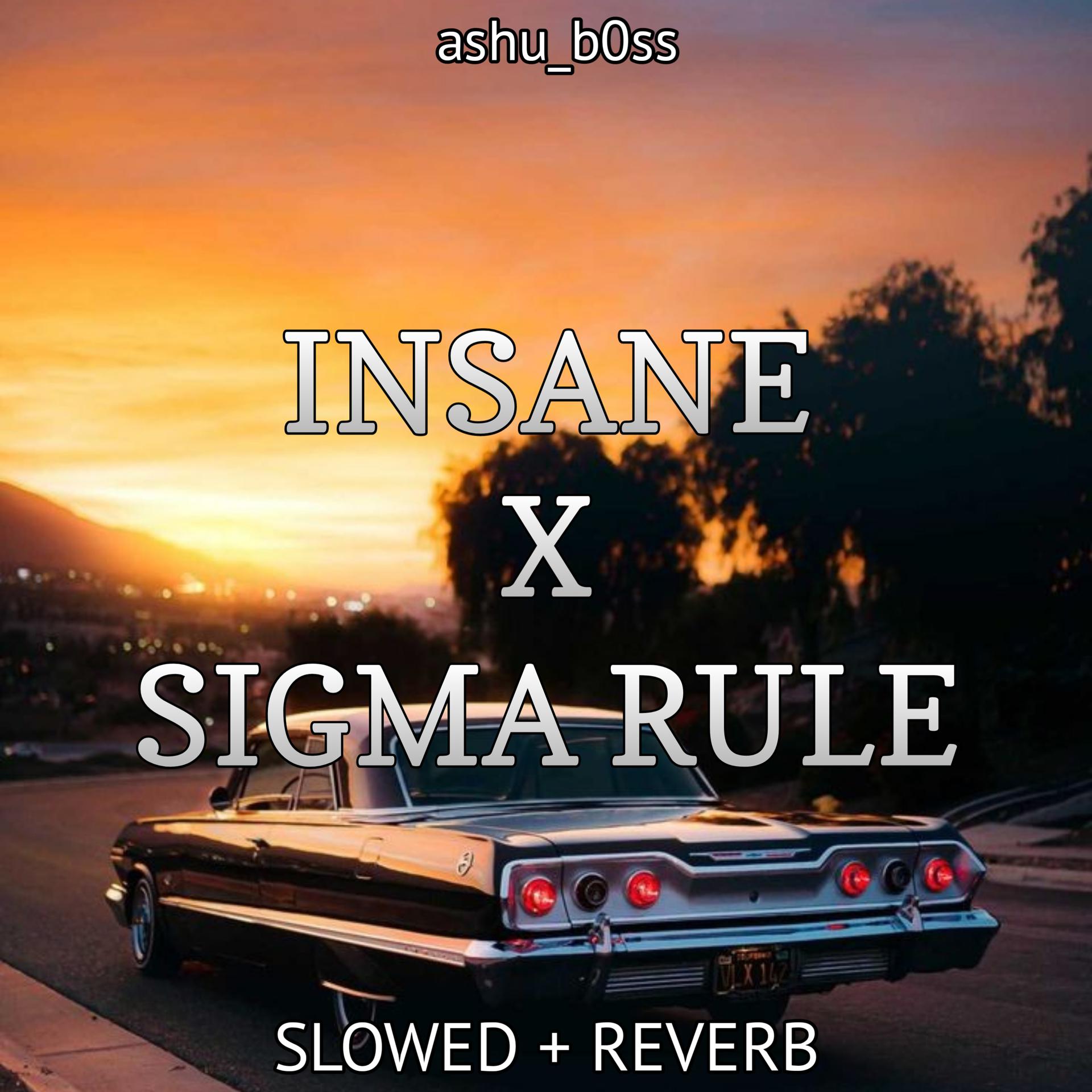 Постер альбома INSANE X SIGMA RULE