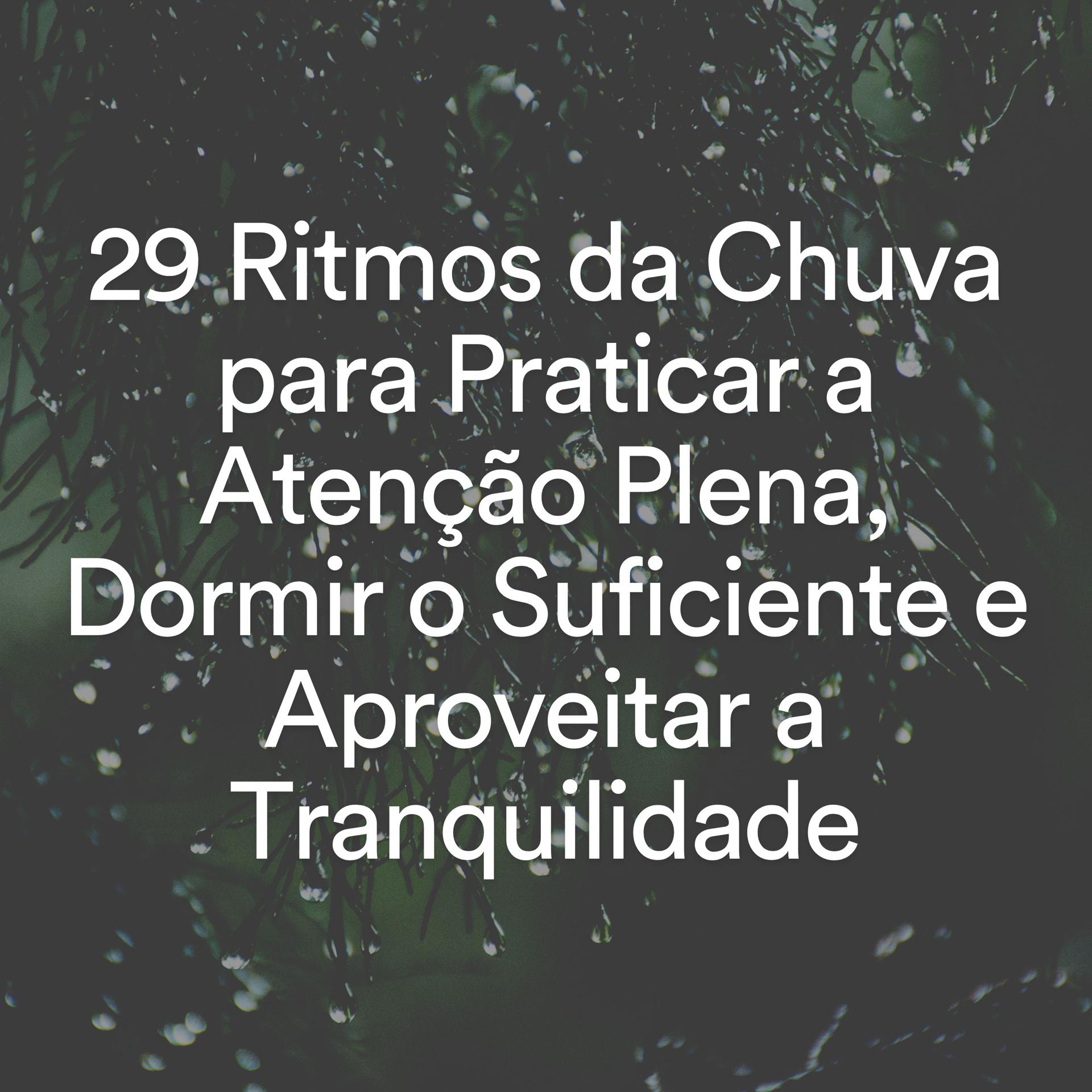 Постер альбома 29 Ritmos da Chuva para Praticar a Atenção Plena, Dormir o Suficiente e Aproveitar a Tranquilidade
