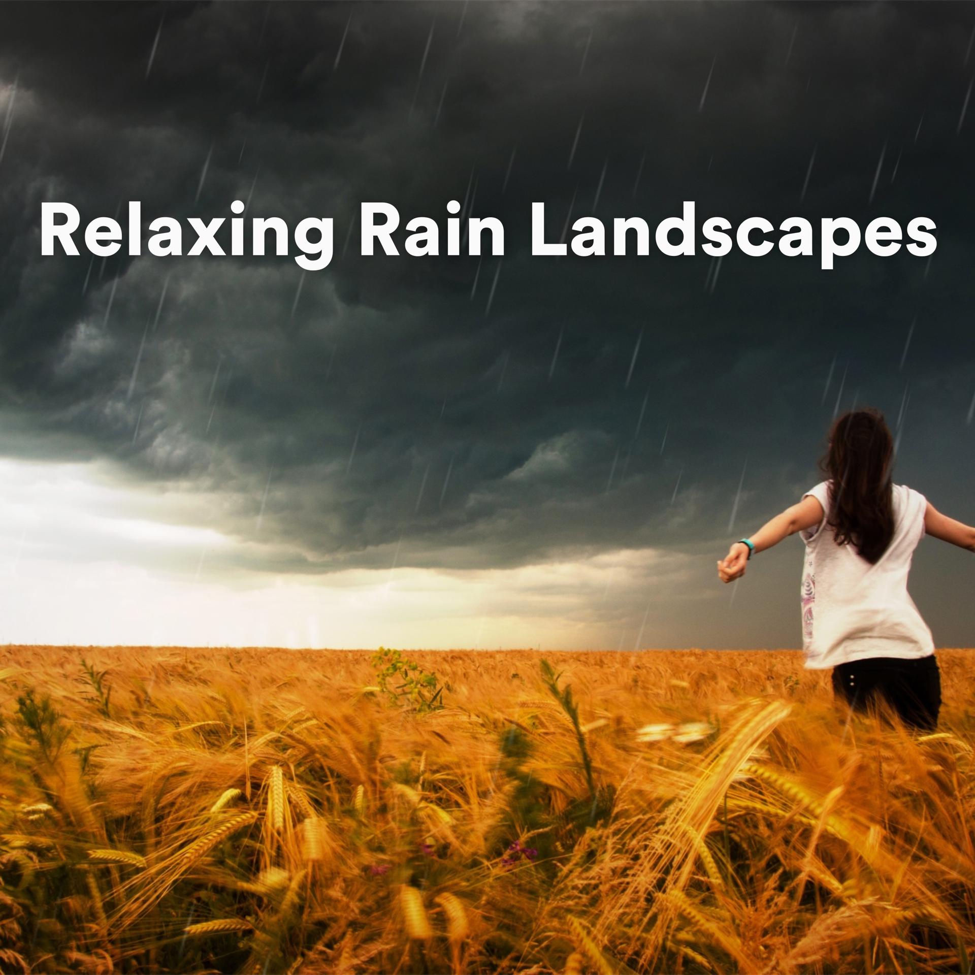 Постер альбома Relaxing Rain Landscapes