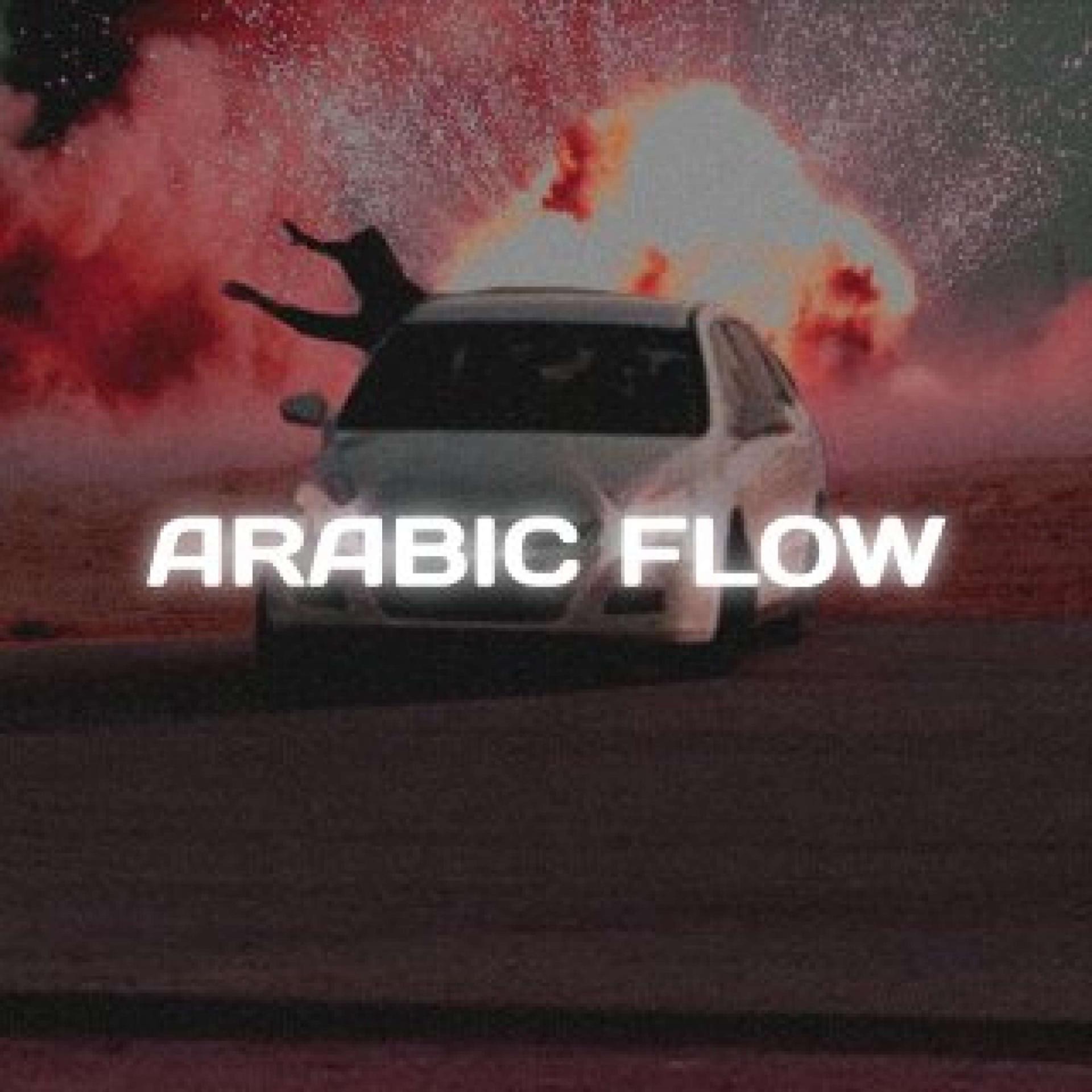 Постер альбома Arabic Flow