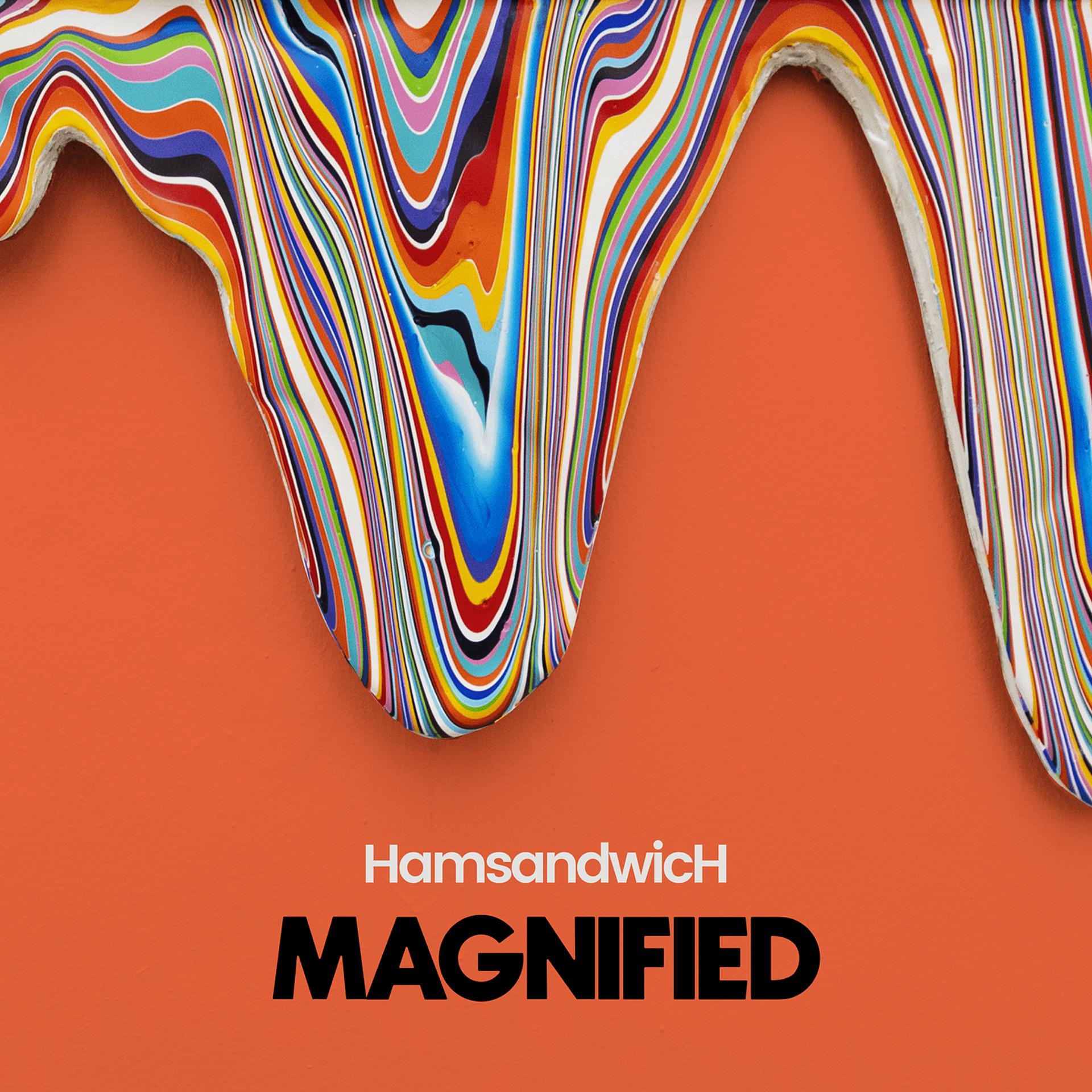 Постер альбома Magnified