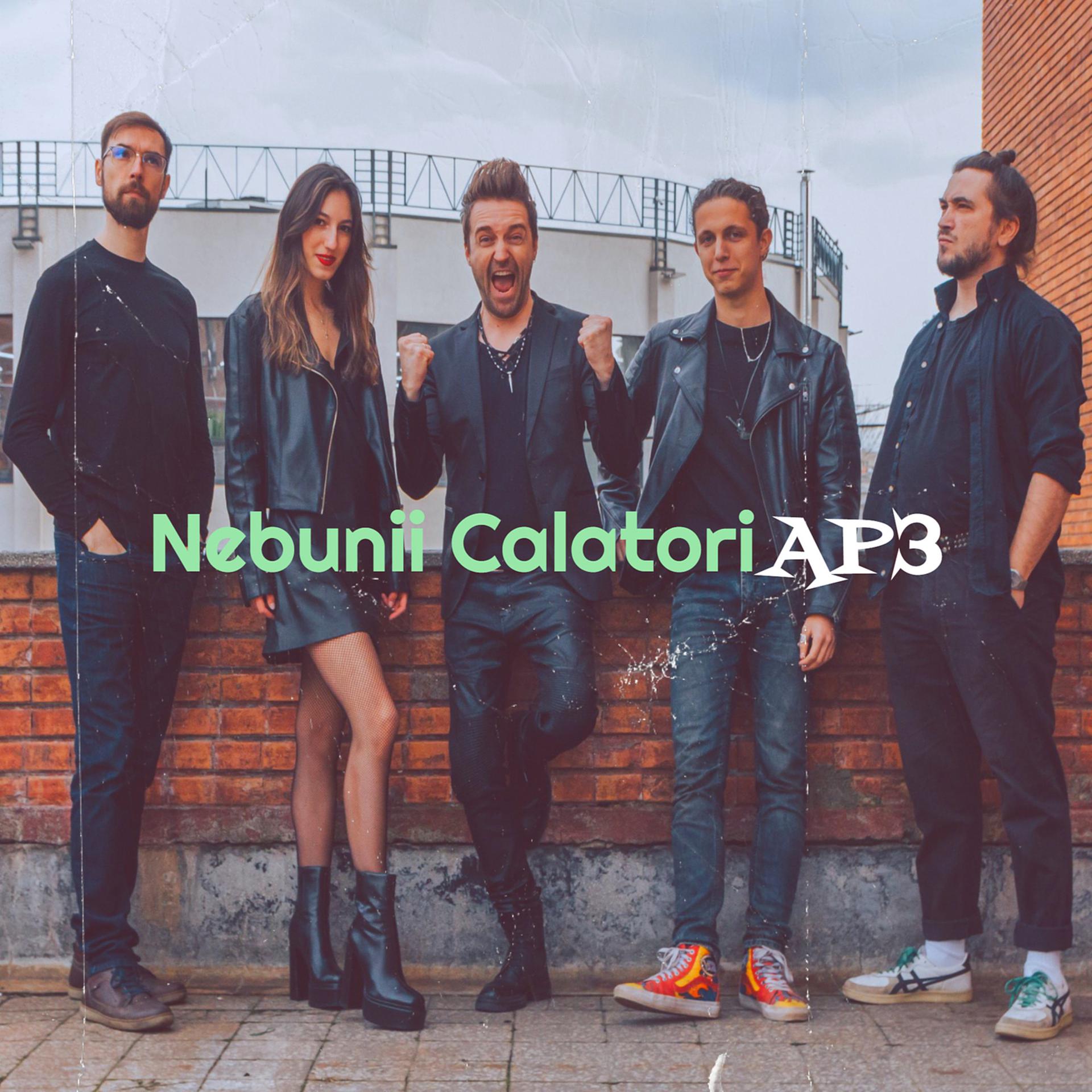 Постер альбома Nebunii Calatori