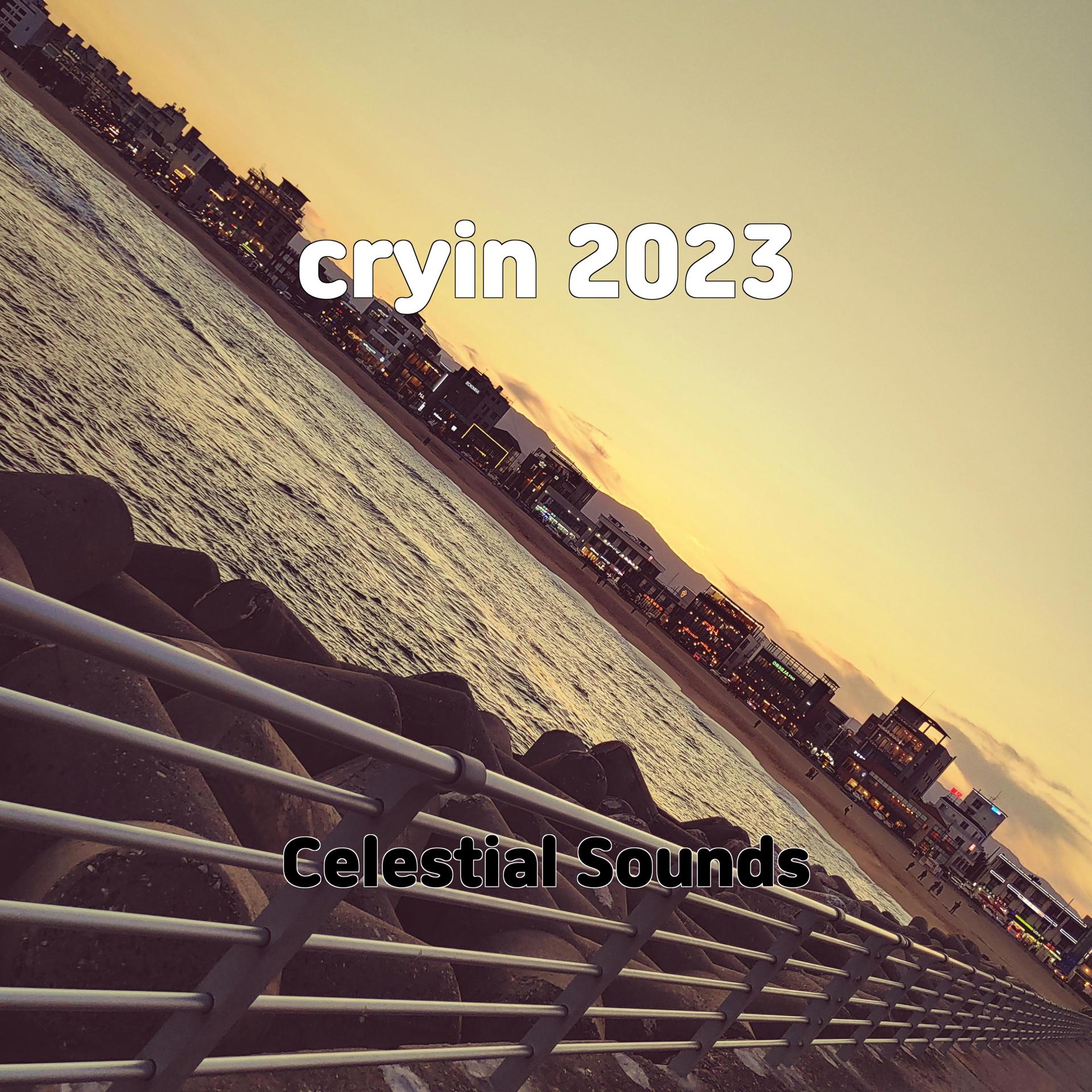 Постер альбома cryin 2023