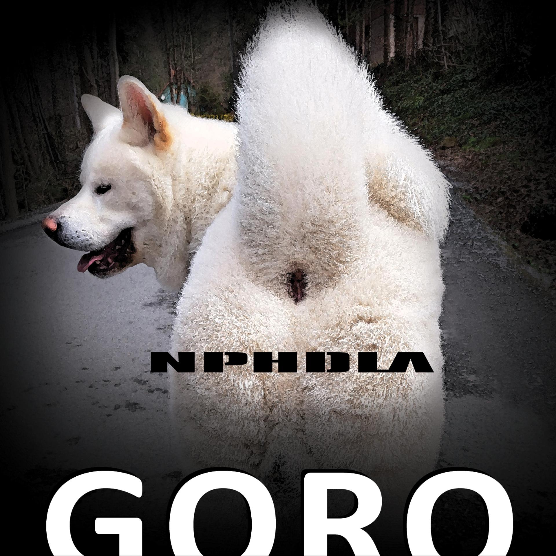 Постер альбома GORO