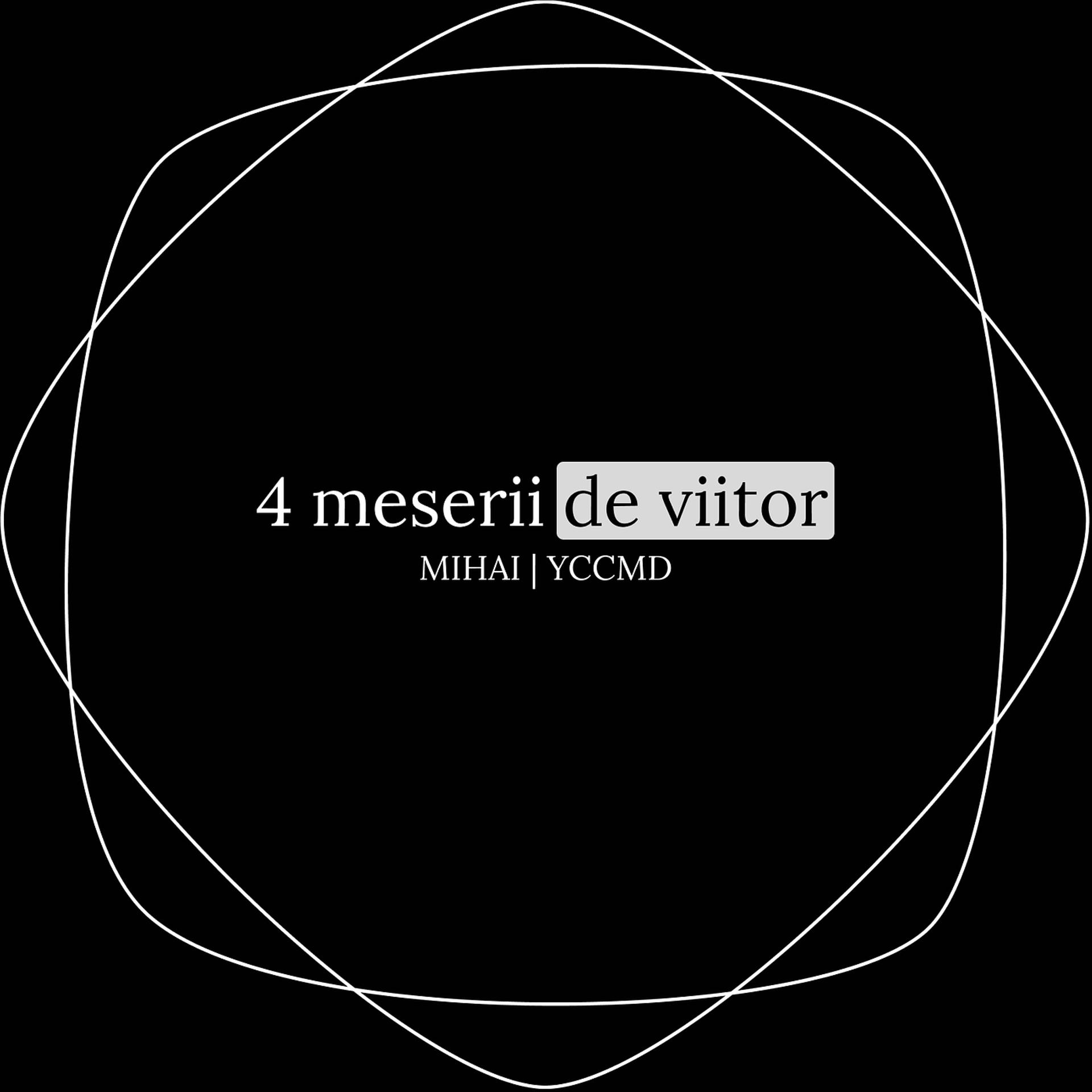 Постер альбома 4 Meserii De Viitor