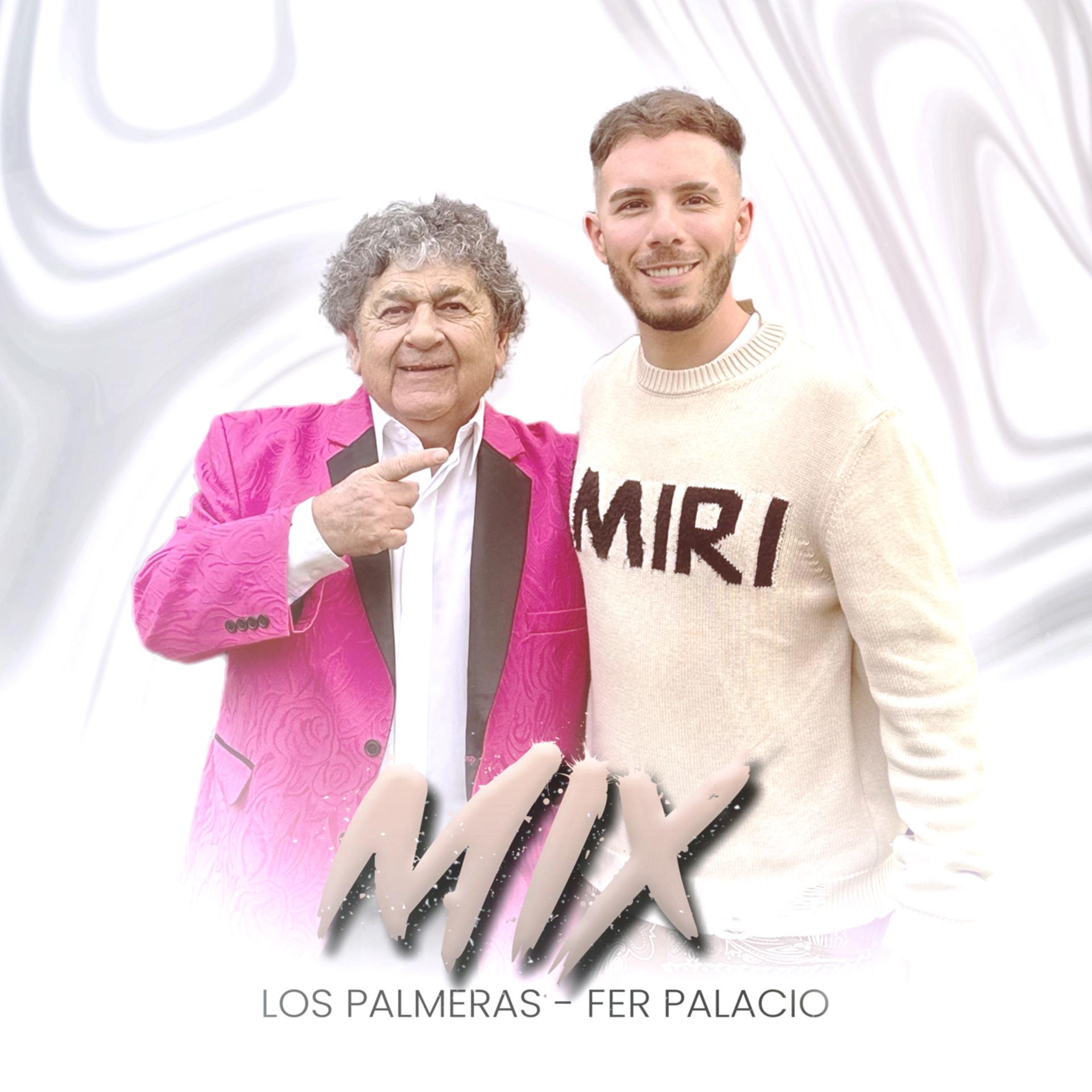 Постер альбома Mix Los Palmeras - (Fer Palacio Remix)