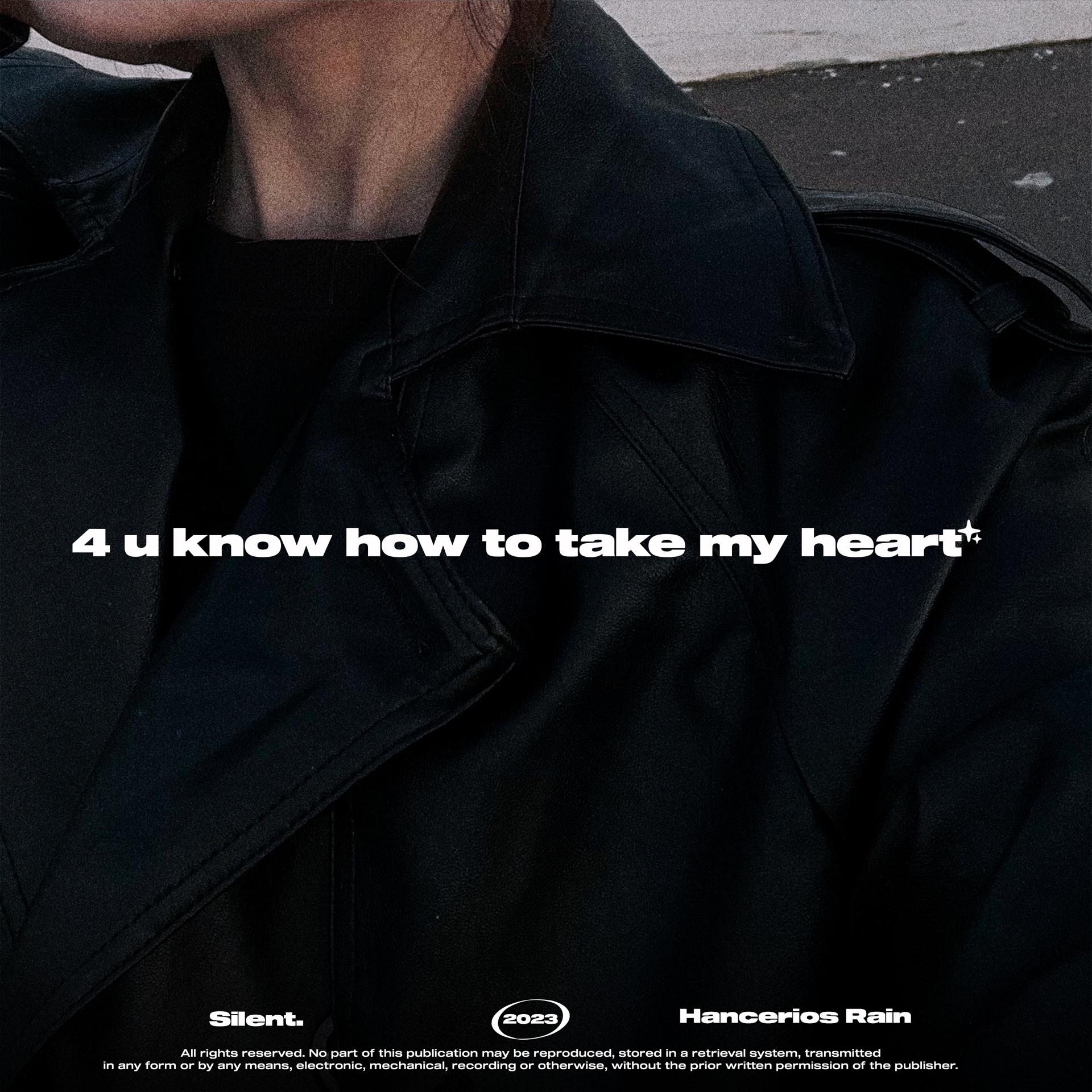 Постер альбома 4 U Know How to Take My Heart