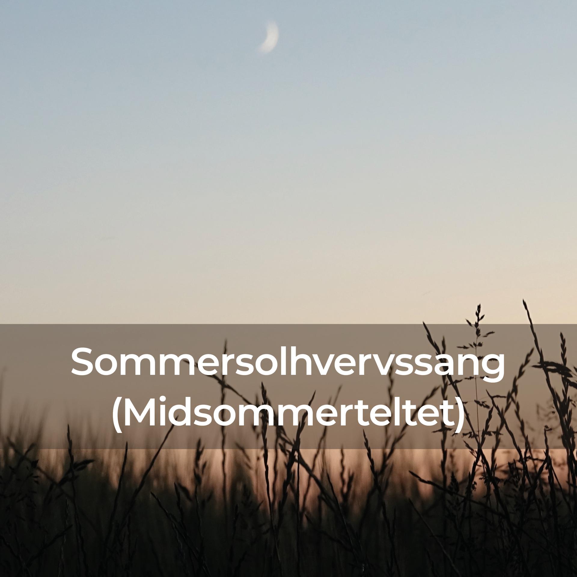 Постер альбома Sommersolhverssang (Midsommerteltet)