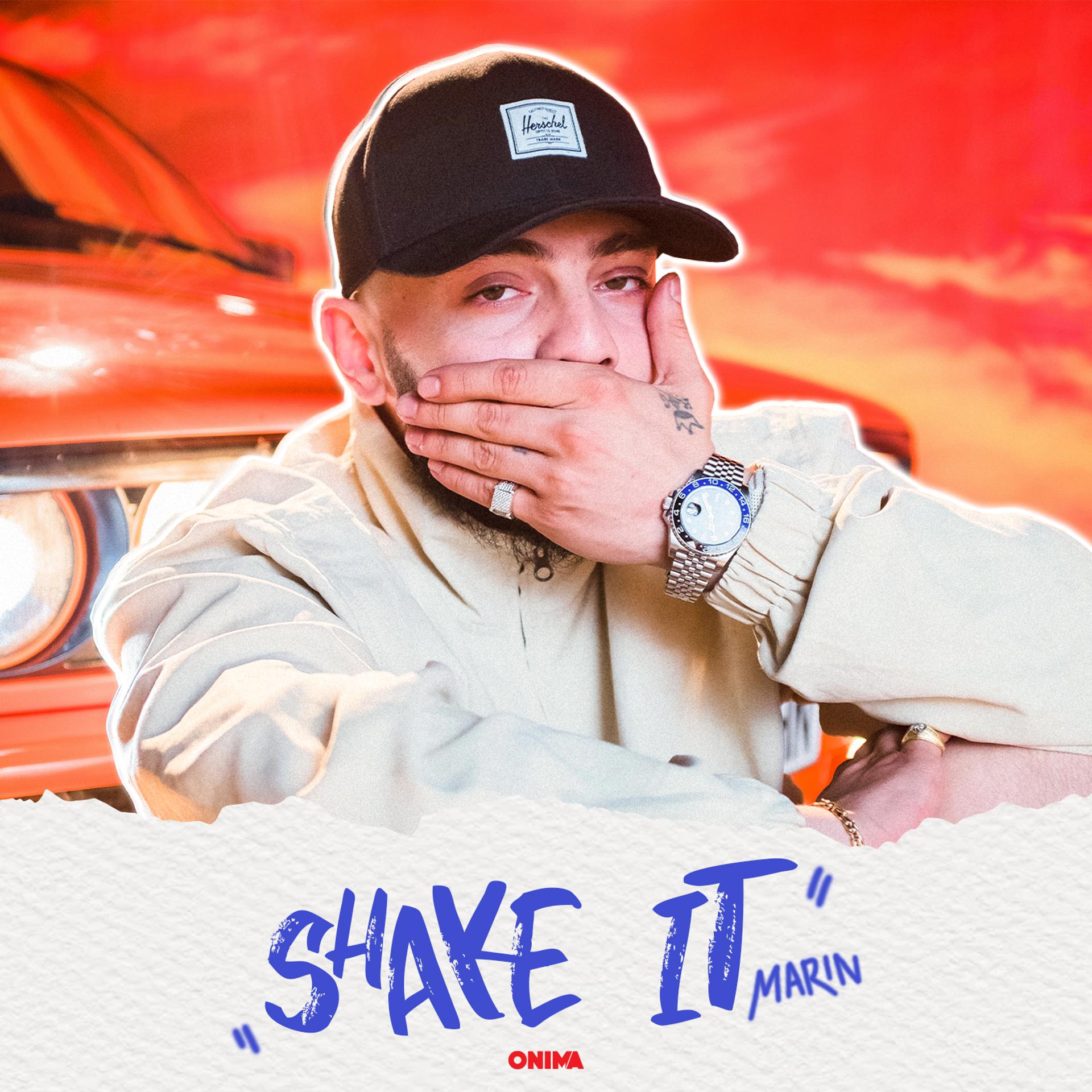 Постер альбома Shake it