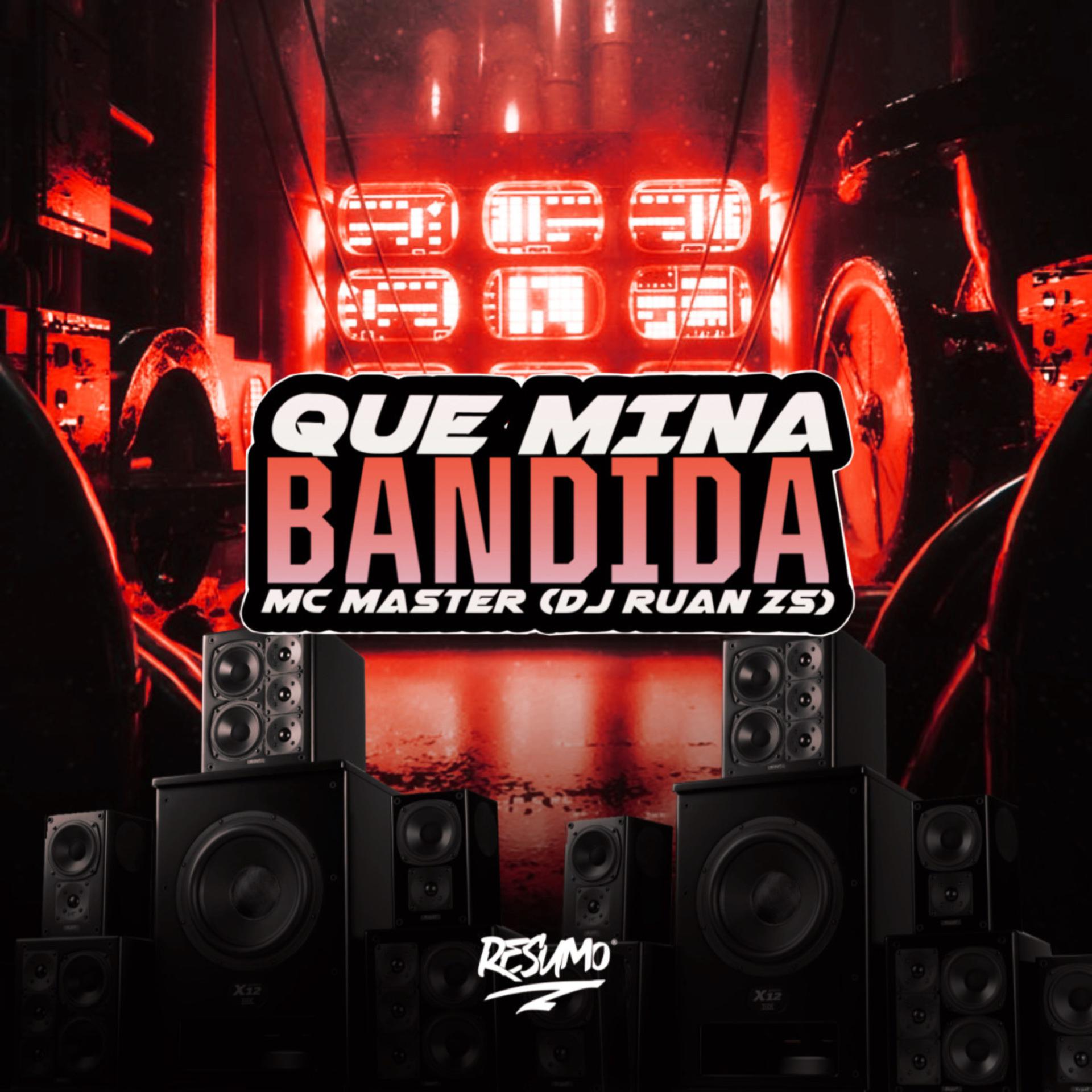 Постер альбома Que Mina Bandida