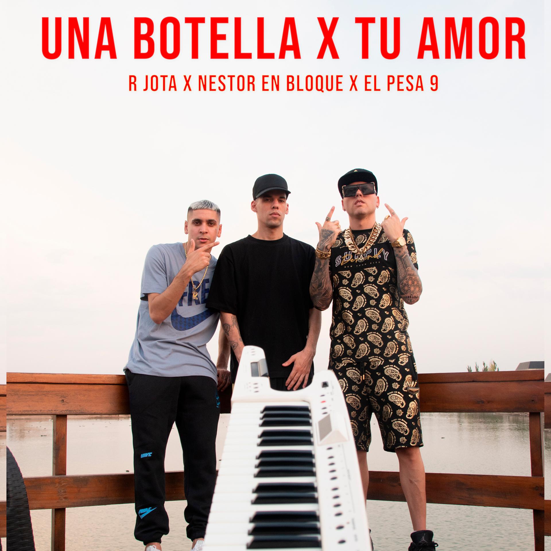 Постер альбома Una Botella X Tu Amor
