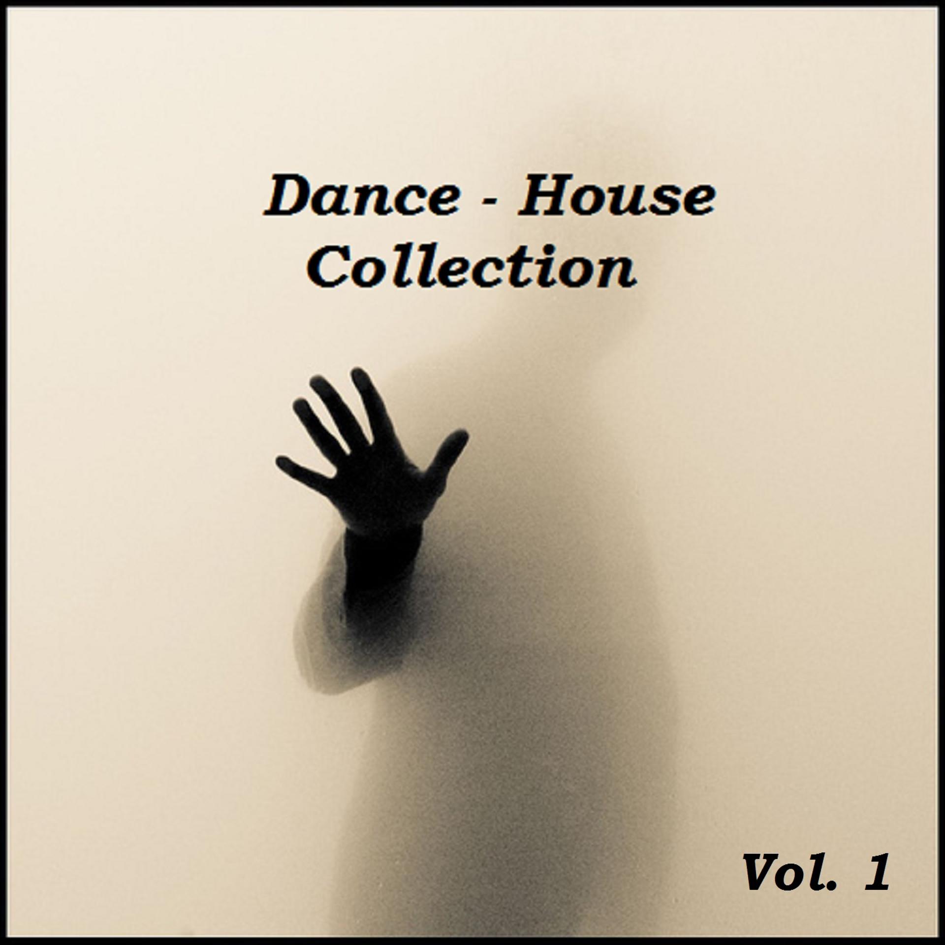 Постер альбома Dance House, Vol. 1