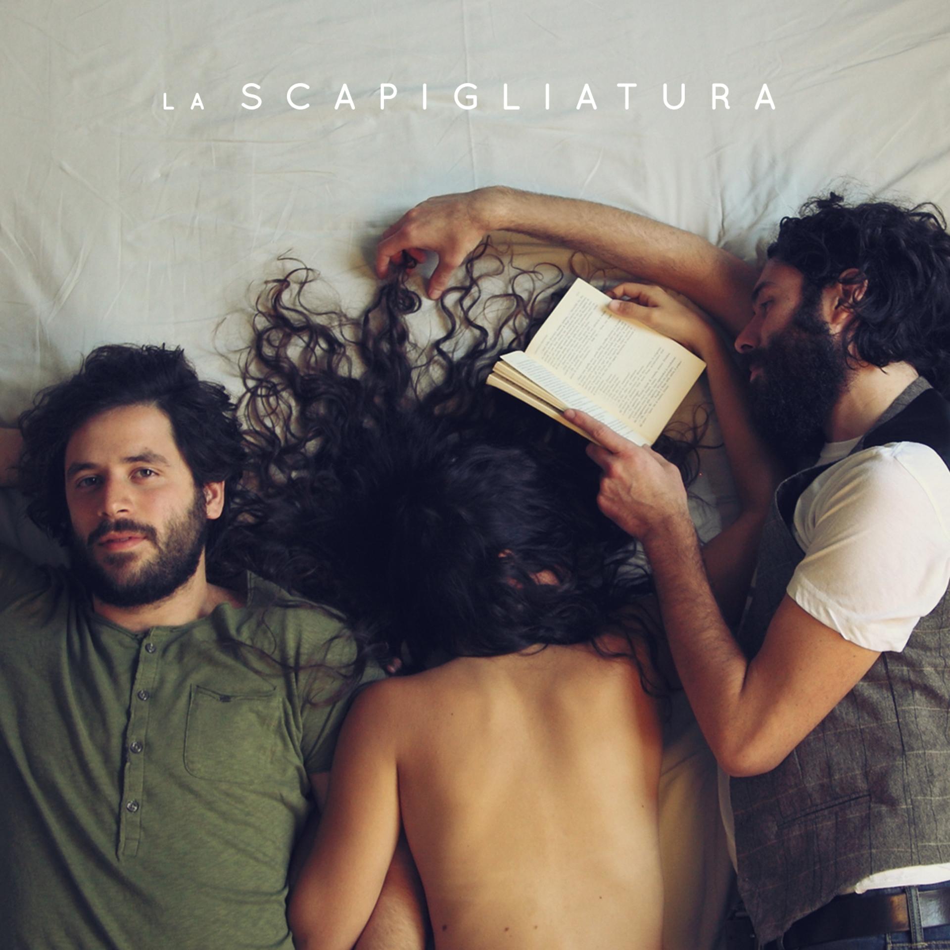 Постер альбома La scapigliatura