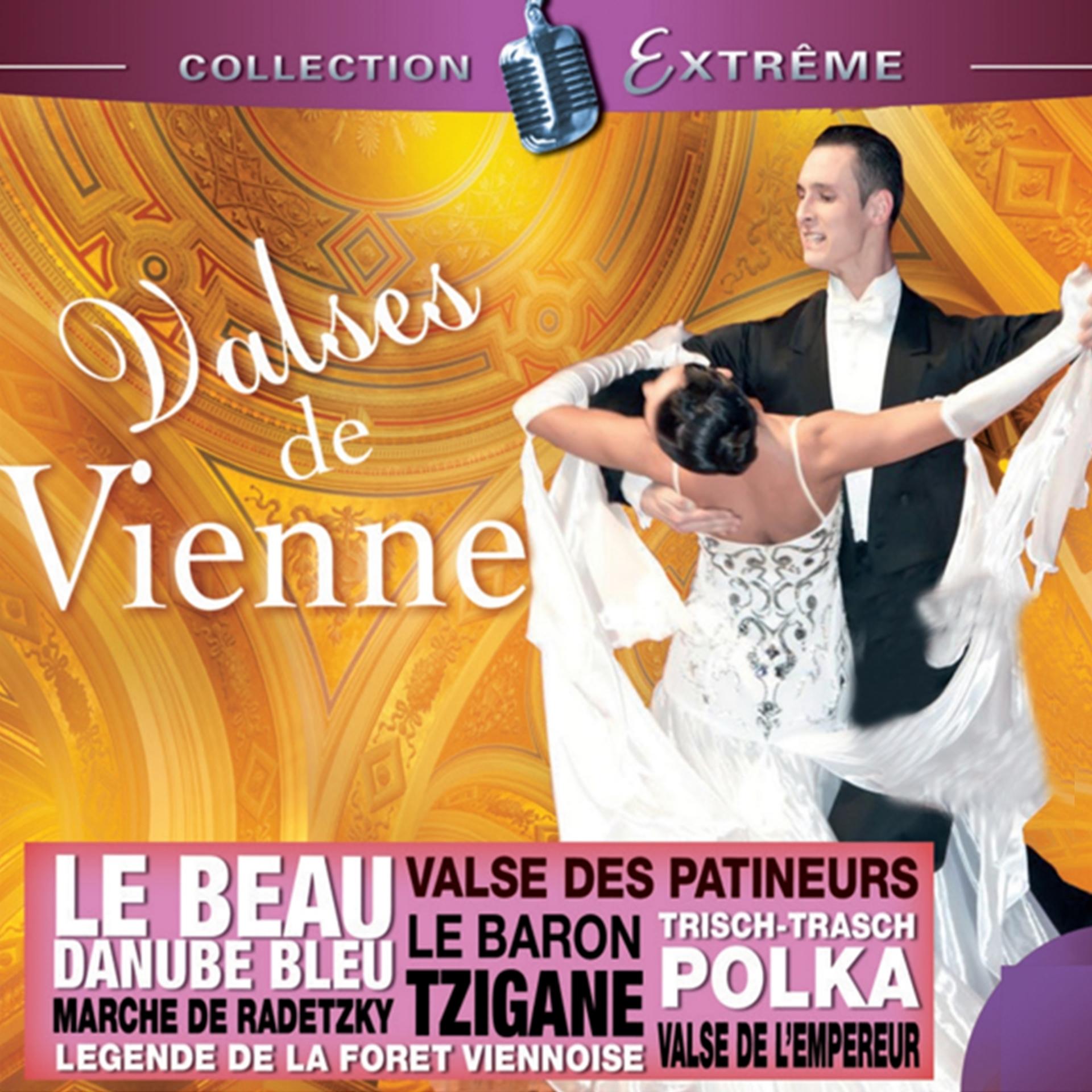 Постер альбома Valses de Vienne Collection Extreme