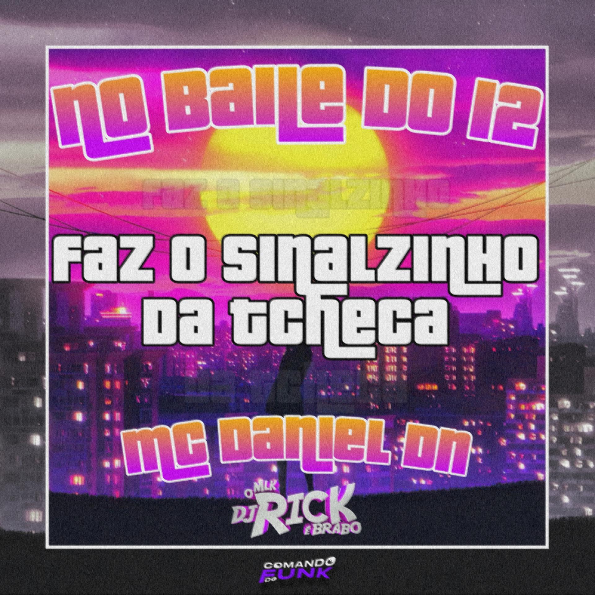 Постер альбома No Baile do 12 - Faz o Sinalzinho da Tcheca
