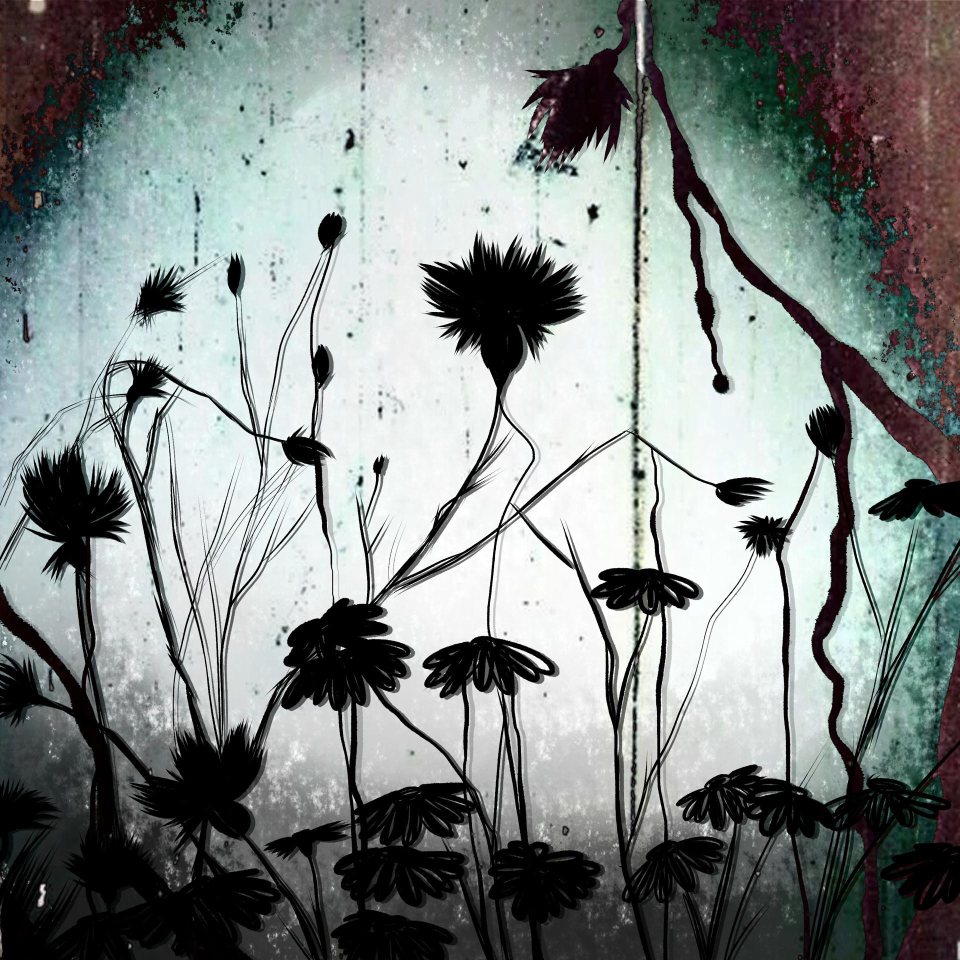 Постер альбома Полевые цветы
