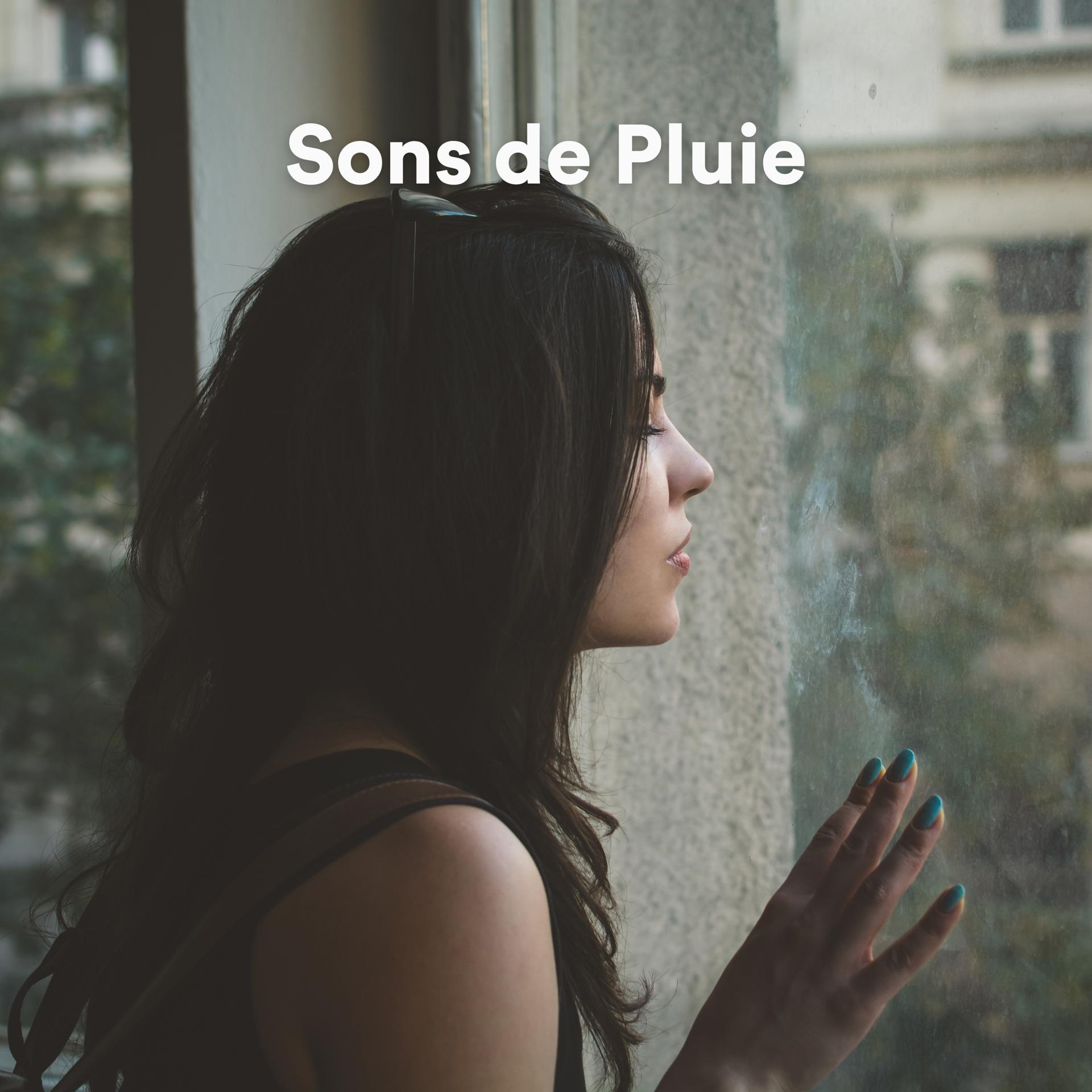 Постер альбома Sons de Pluie