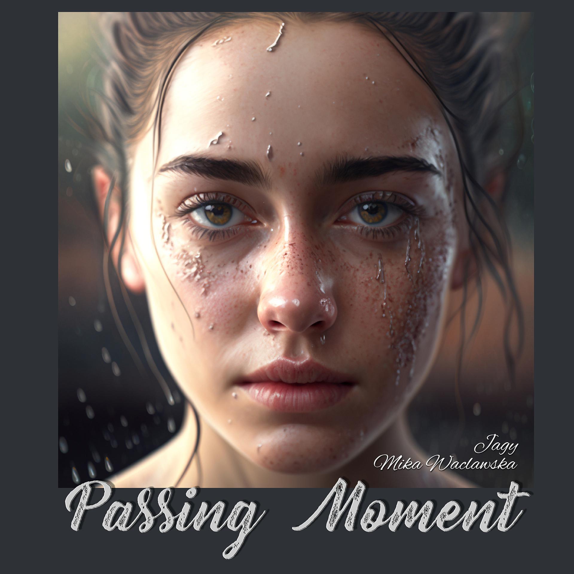 Постер альбома Passing Moment