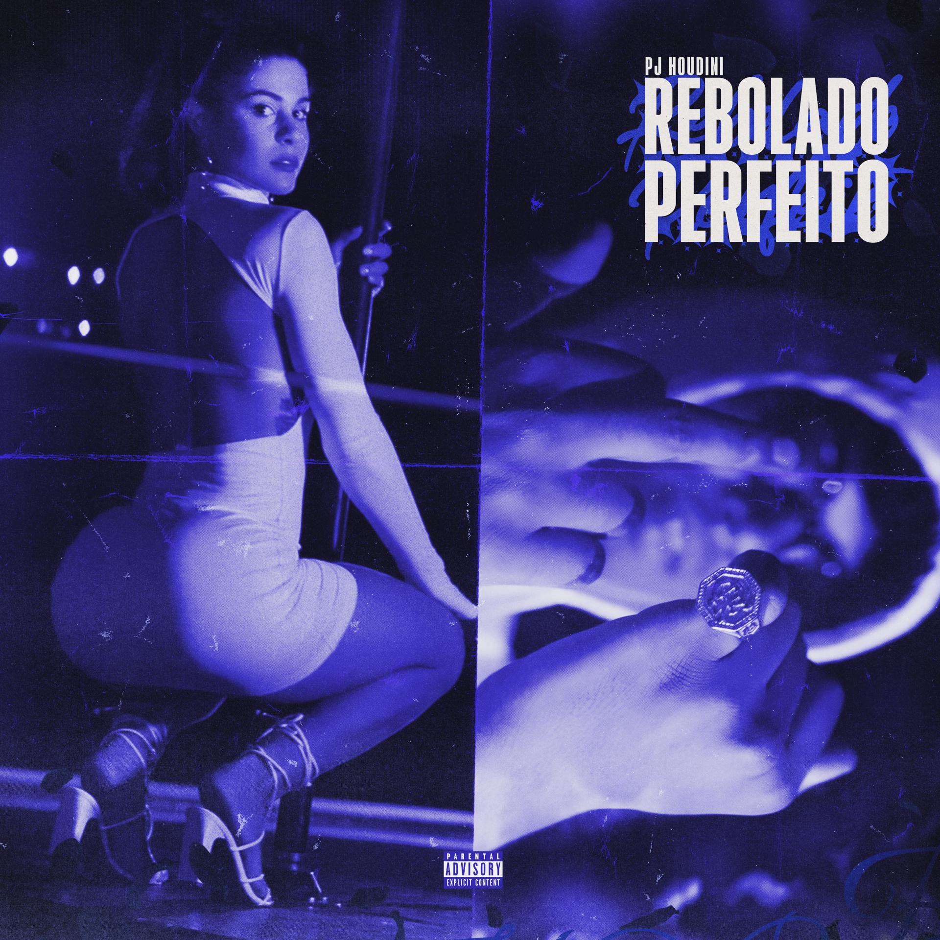 Постер альбома Rebolado Perfeito