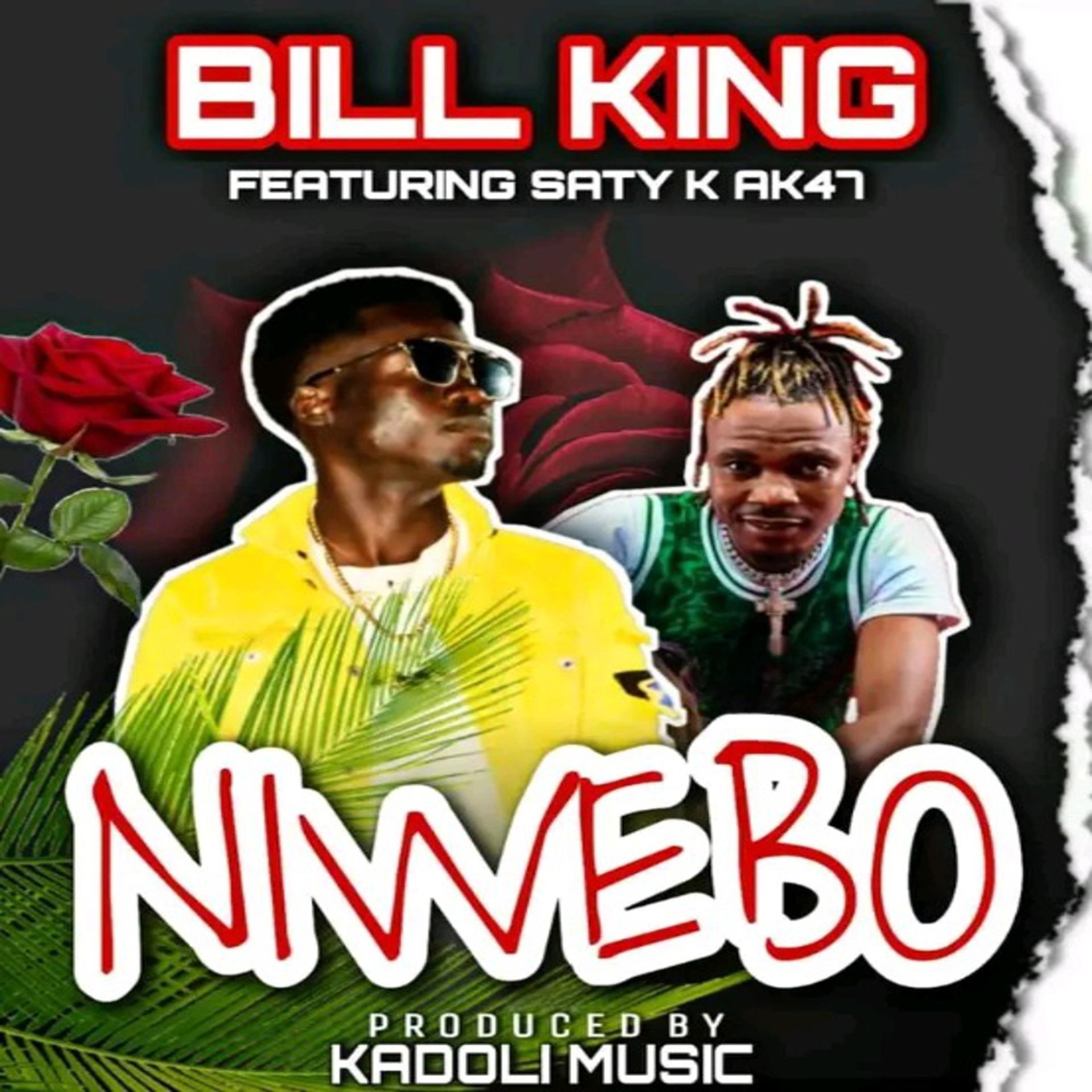 Постер альбома Niwebo
