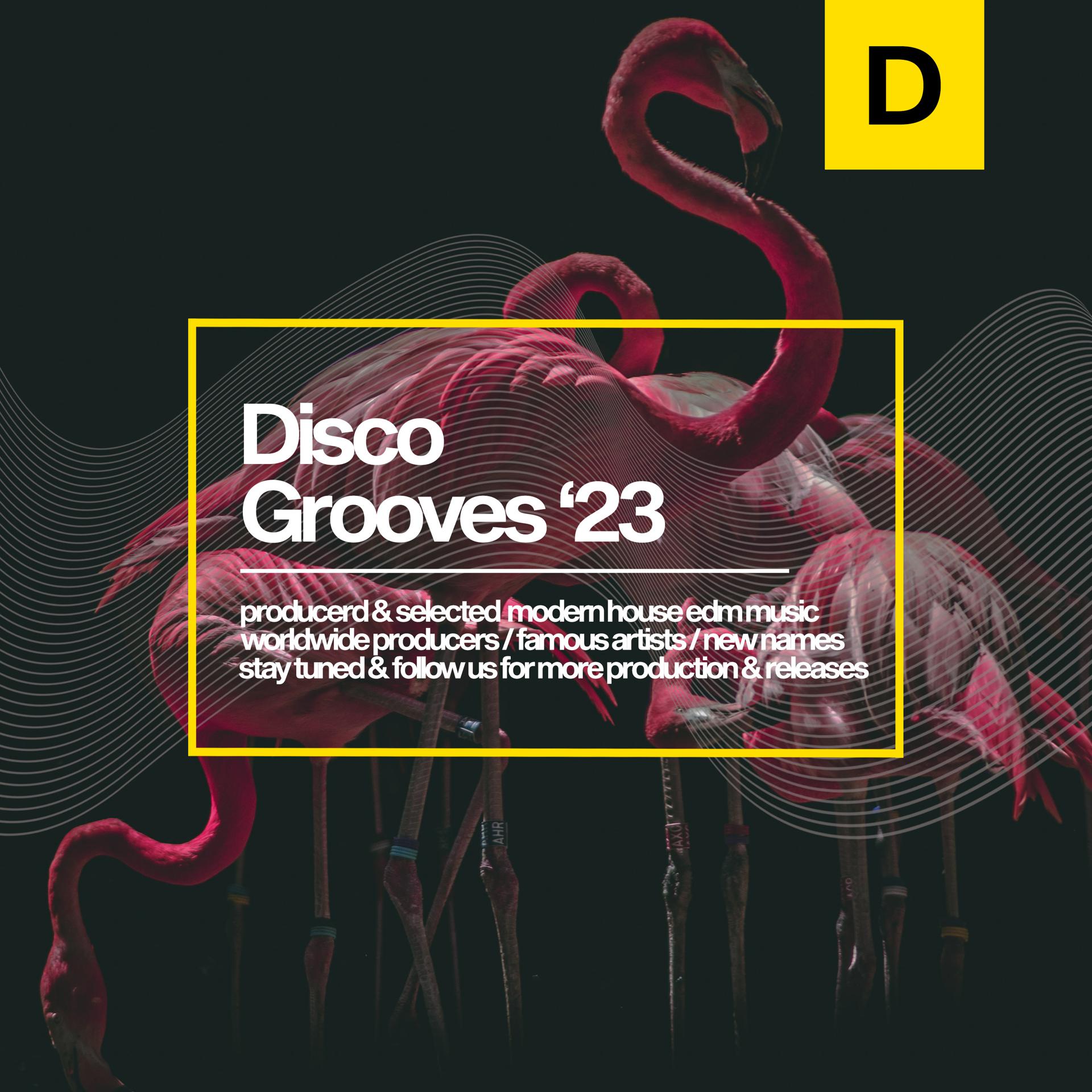 Постер альбома Disco Grooves 2023
