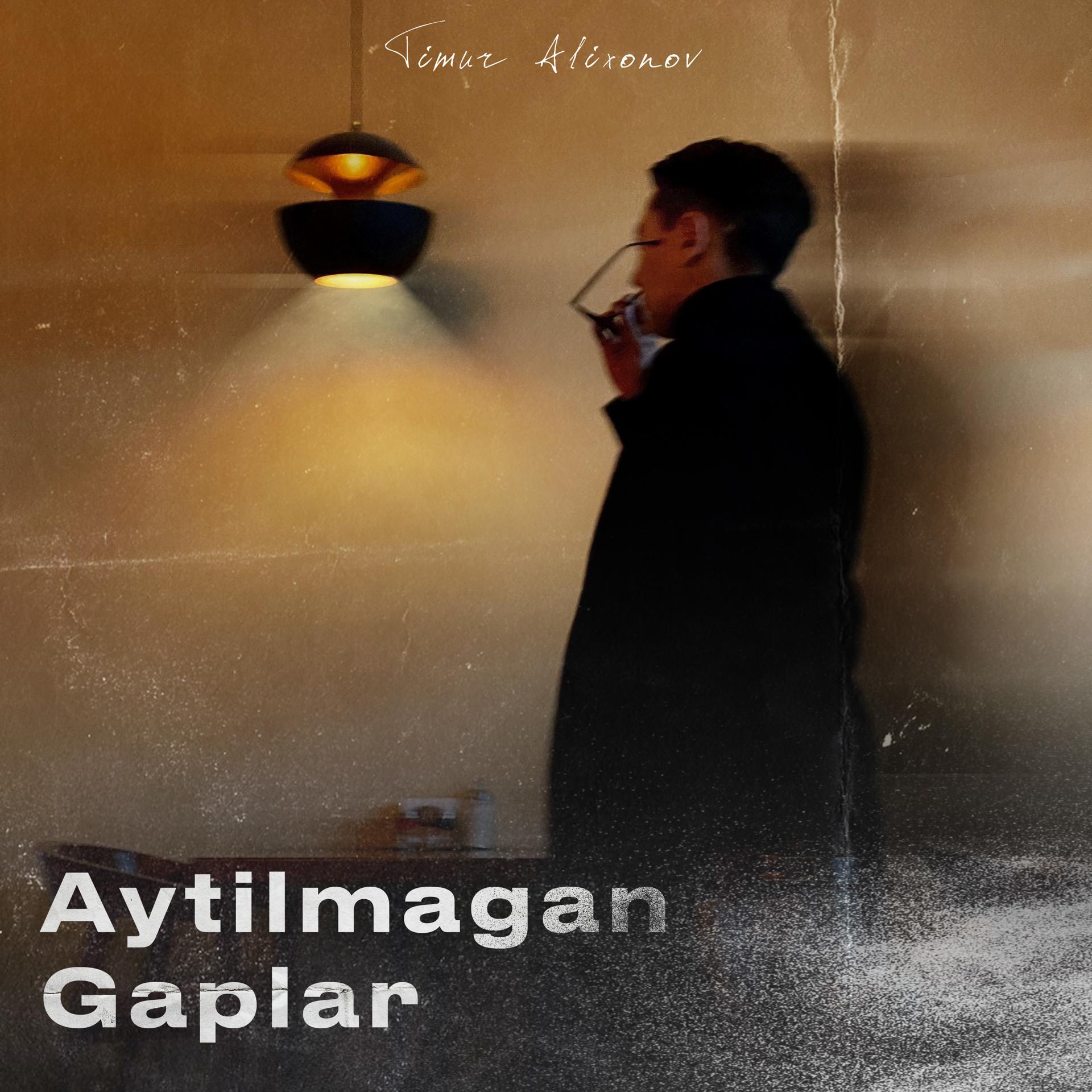 Постер альбома Aytilmagan Gaplar