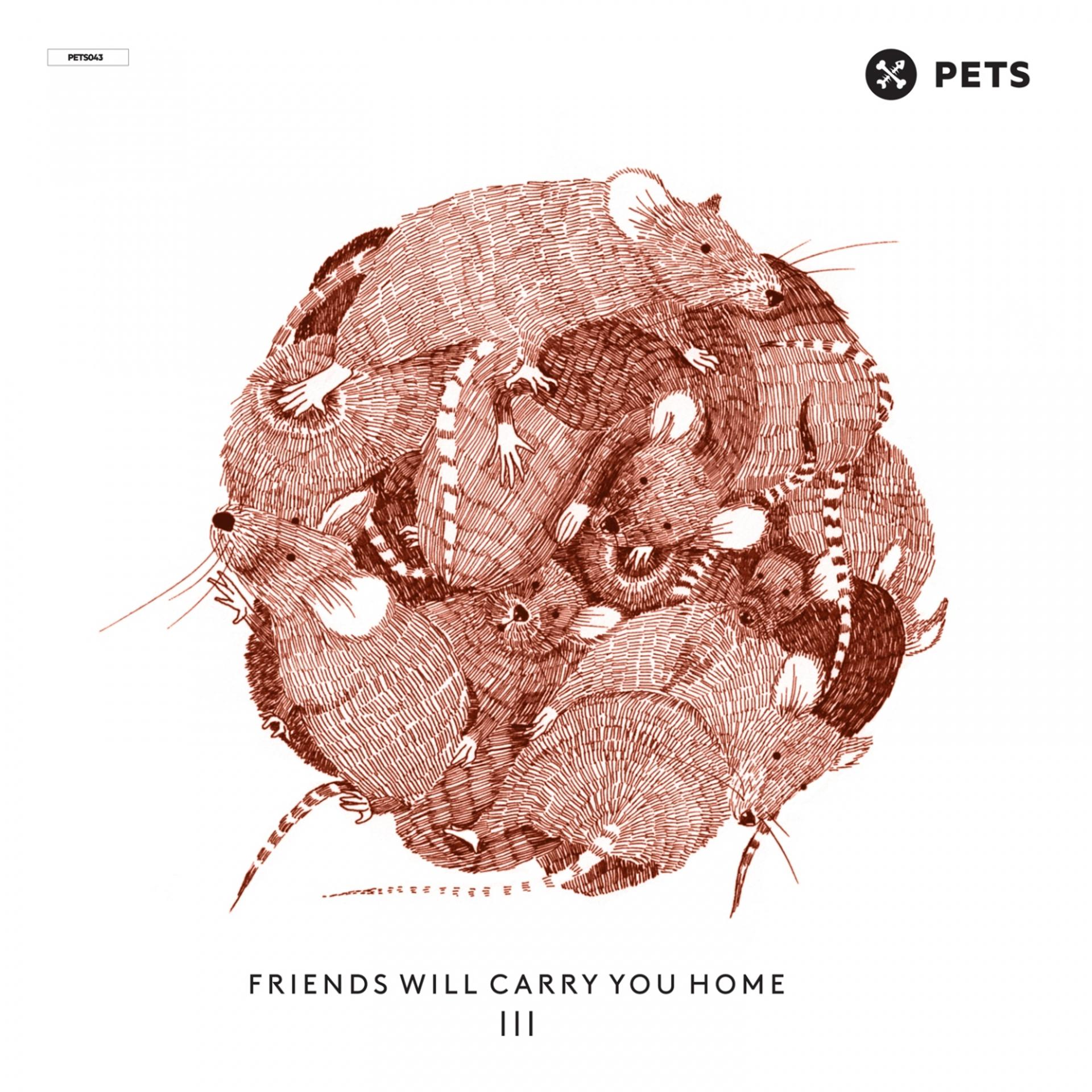 Постер альбома Friends Will Carry You Home III - Pt. 3