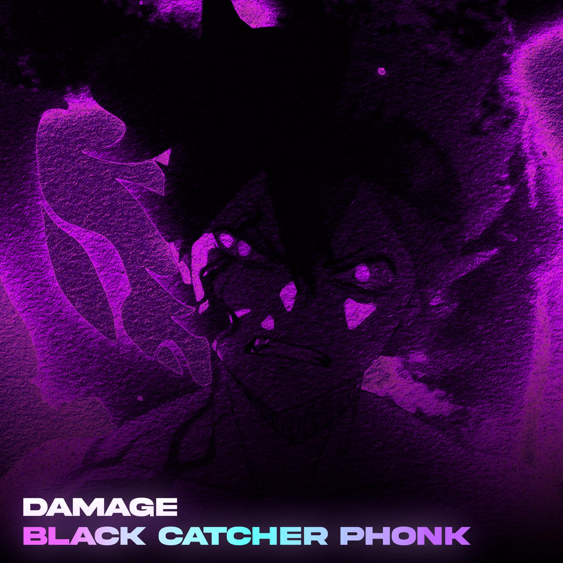 Постер альбома Black Catcher Phonk