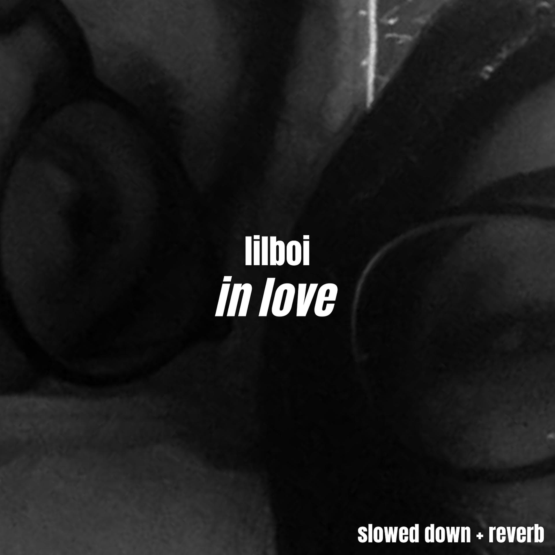 Постер альбома In Love (Slowed Down + Reverb)